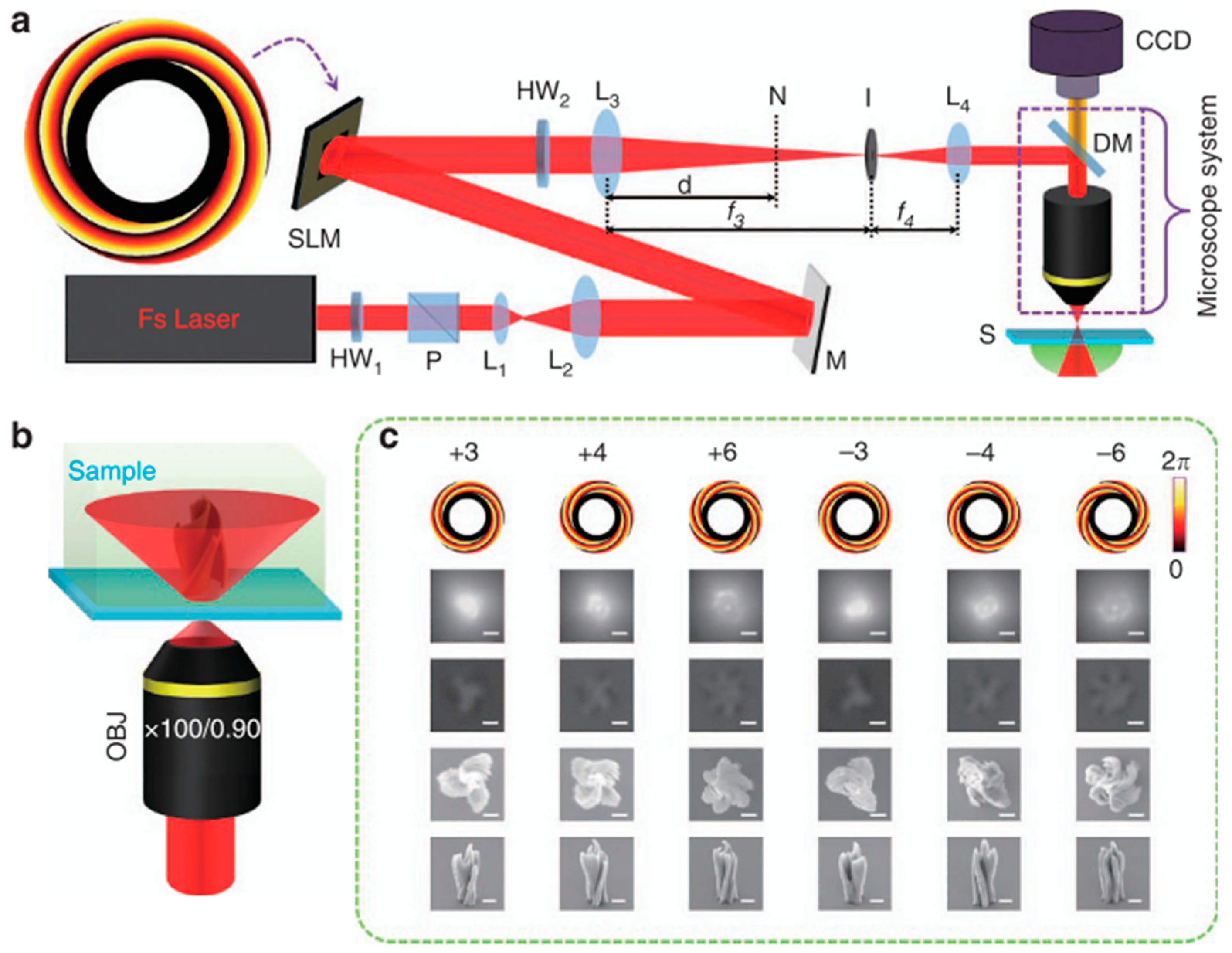Photonics 10 01319 g009