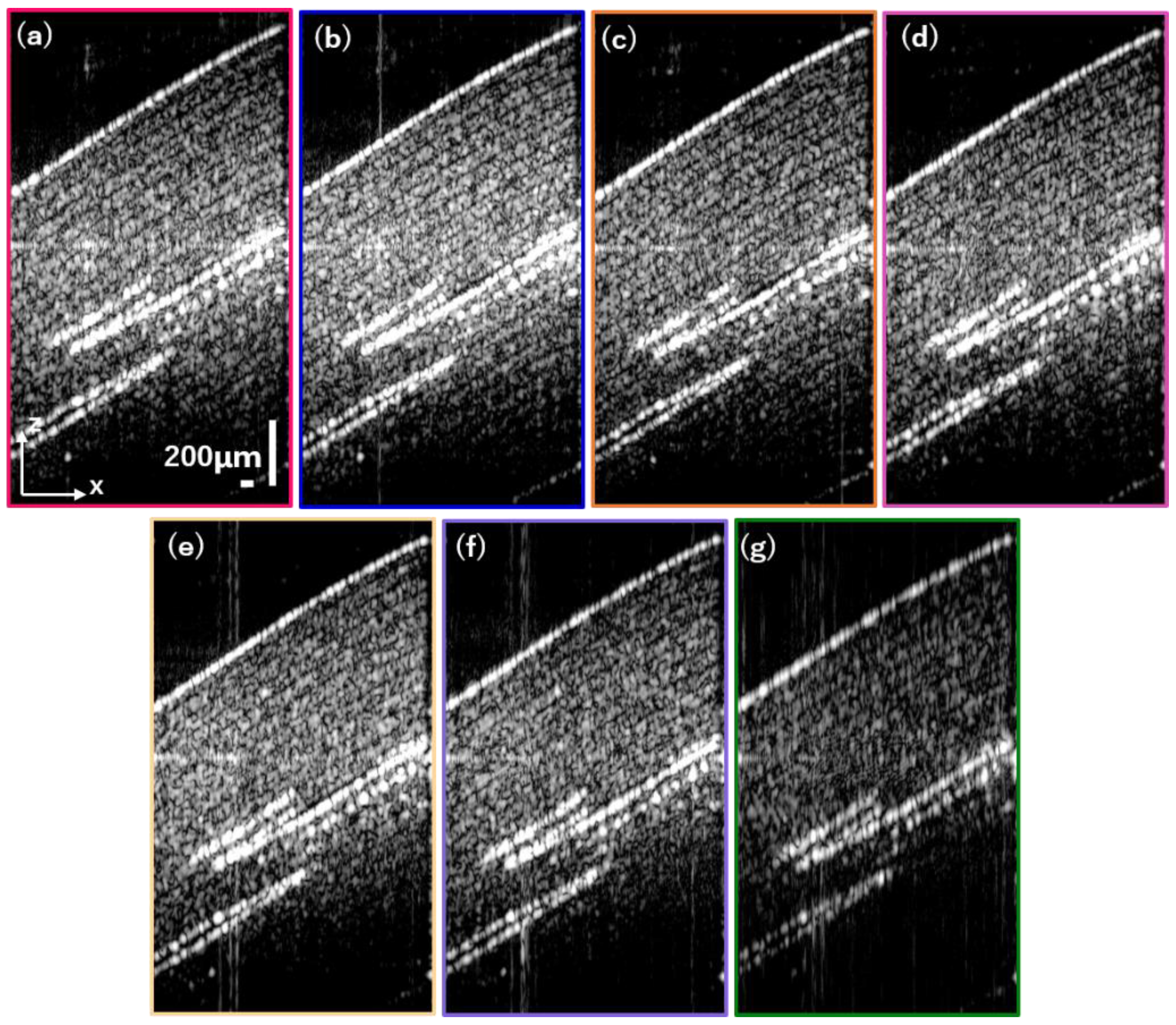 Photonics 10 01338 g005