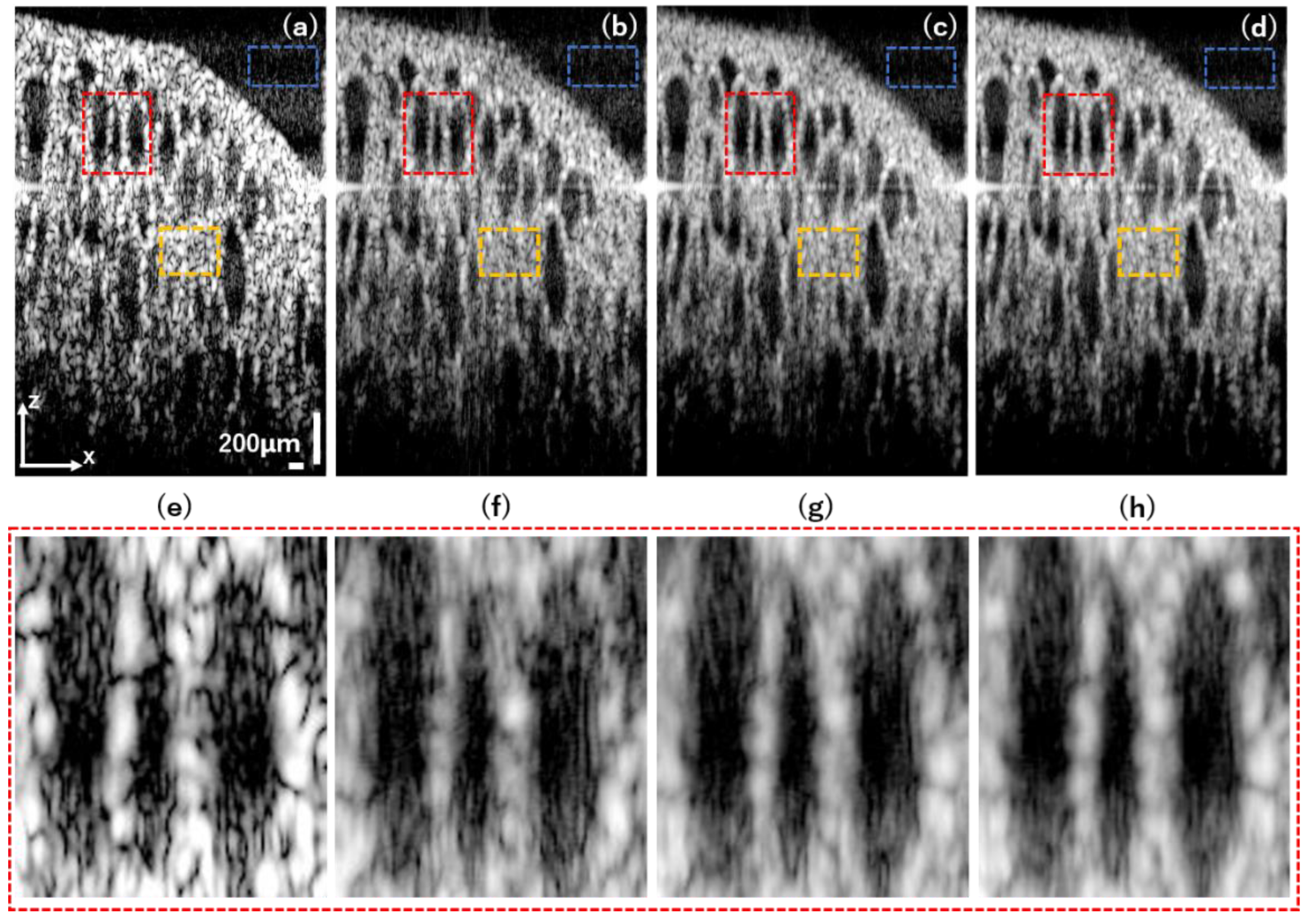 Photonics 10 01338 g007