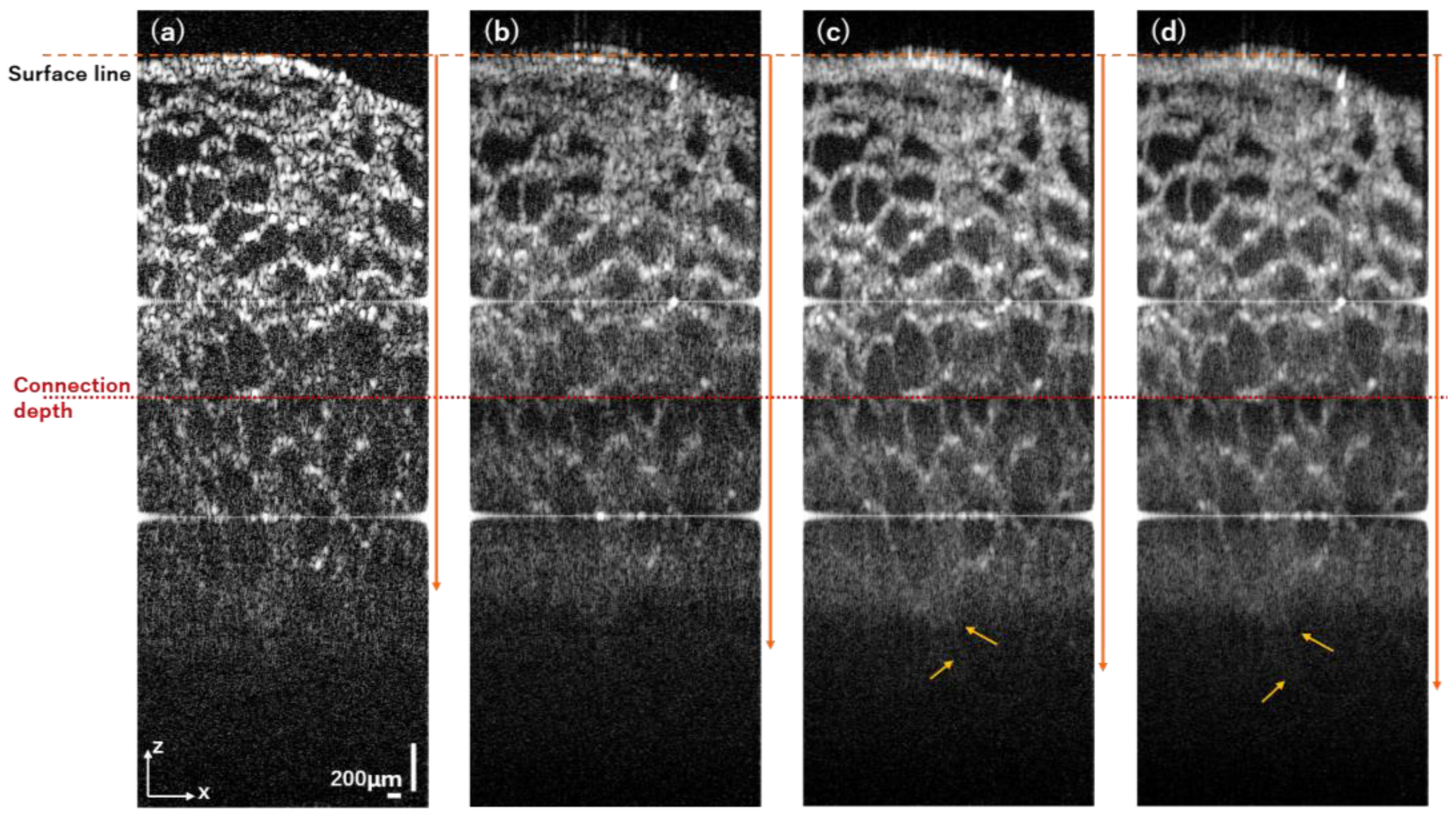 Photonics 10 01338 g009