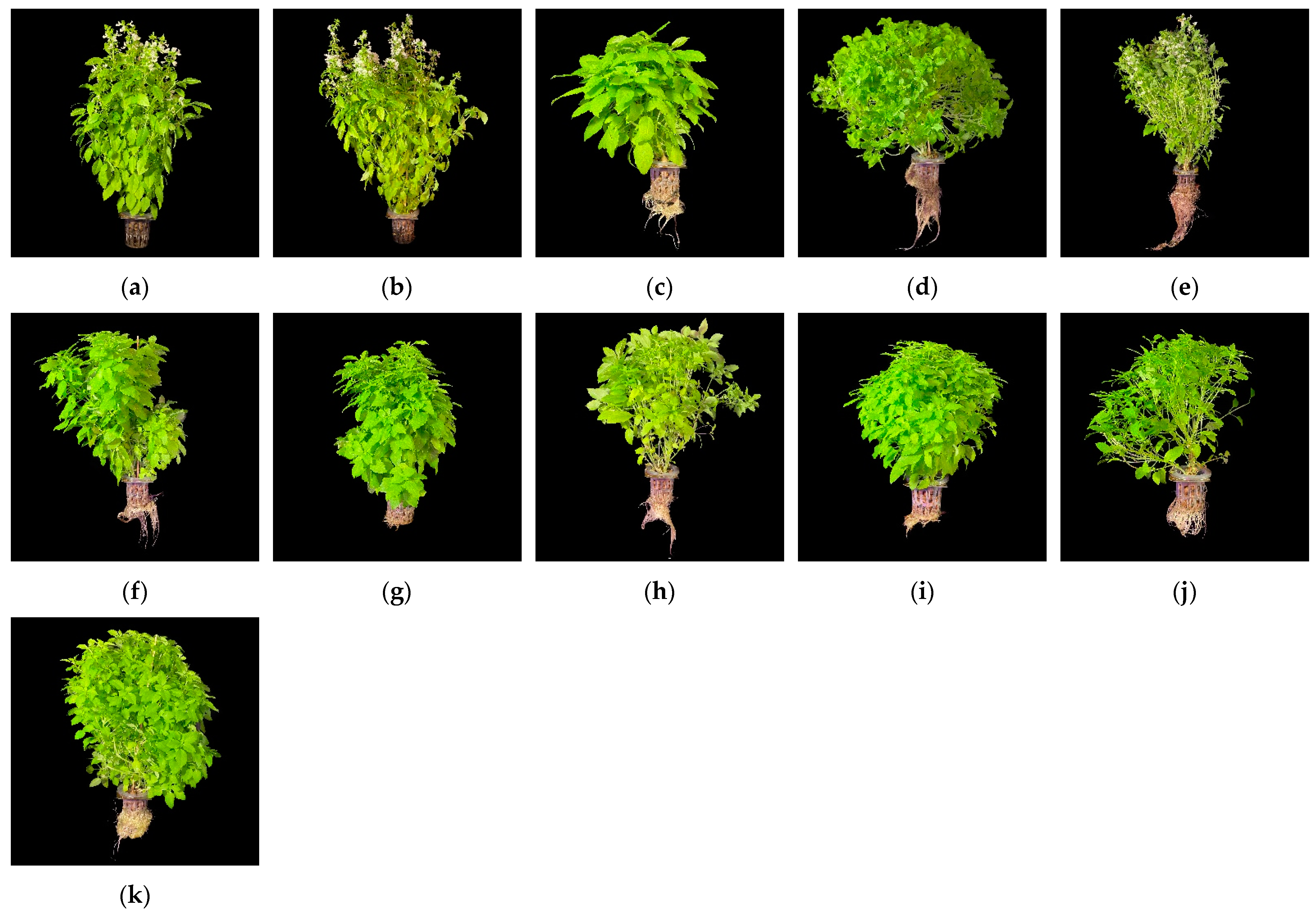 Photonics 10 01369 g008