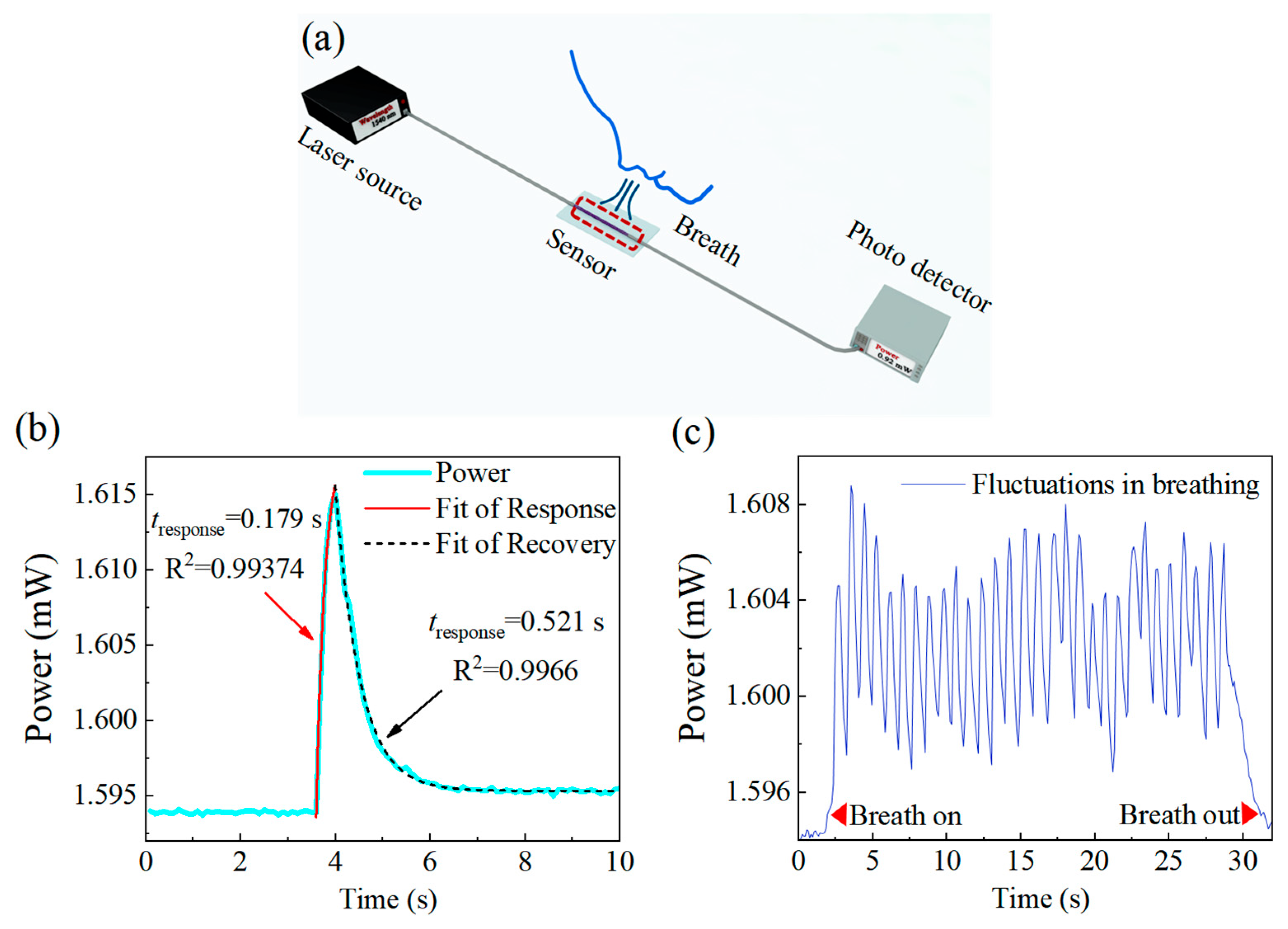 Photonics 11 00079 g005
