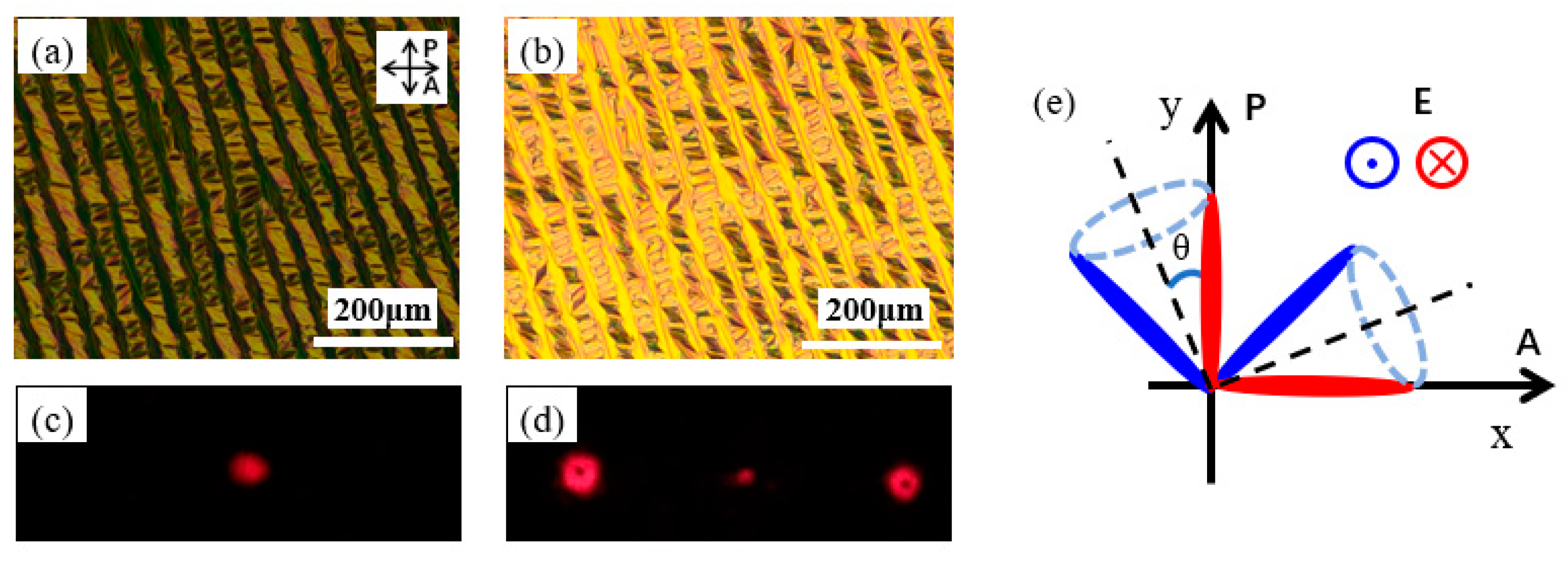Photonics 11 00085 g003