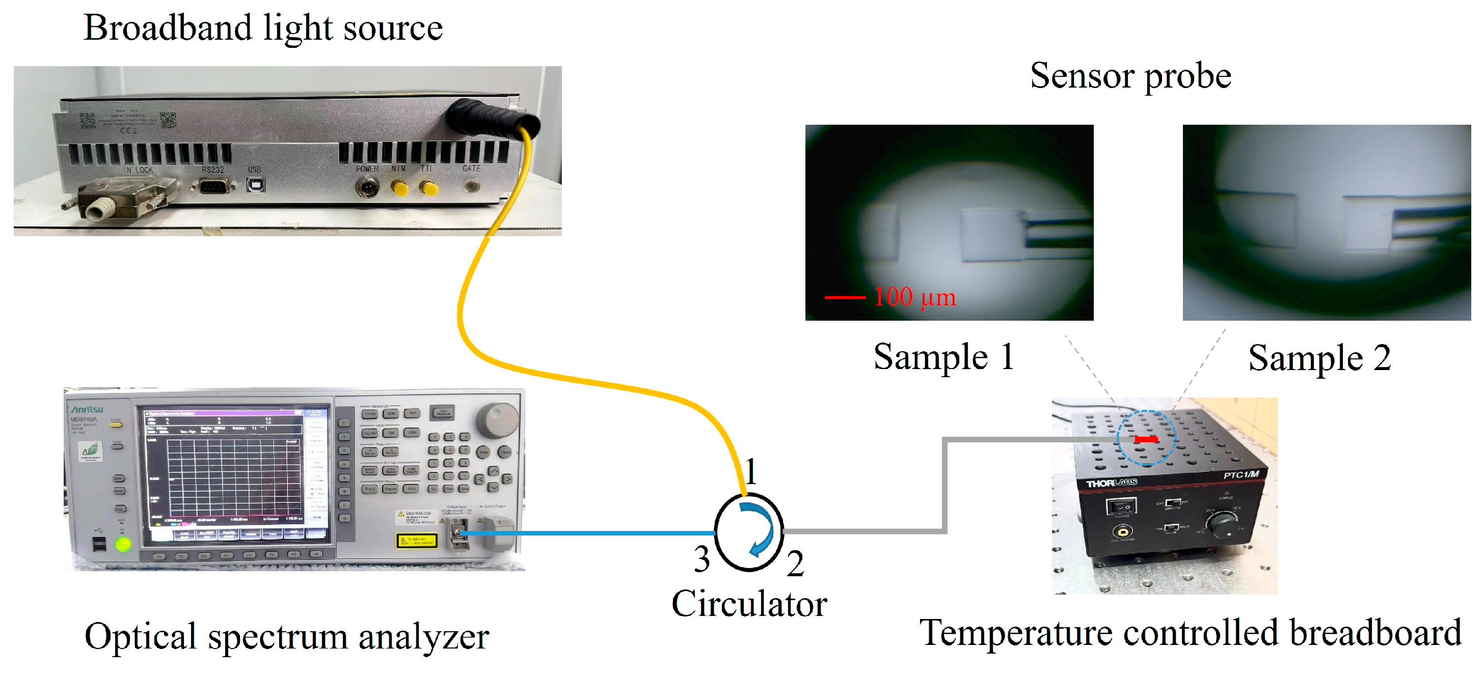 Photonics 11 00111 g002