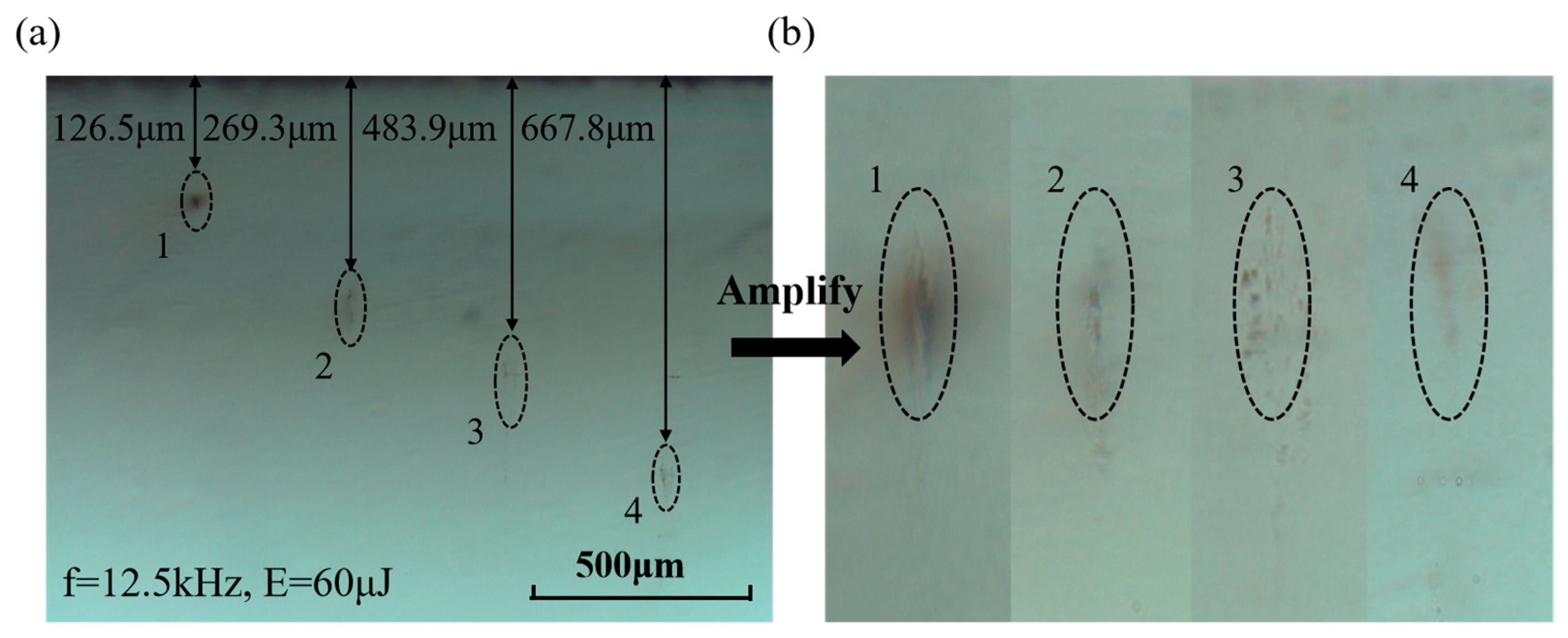 Photonics 11 00189 g010