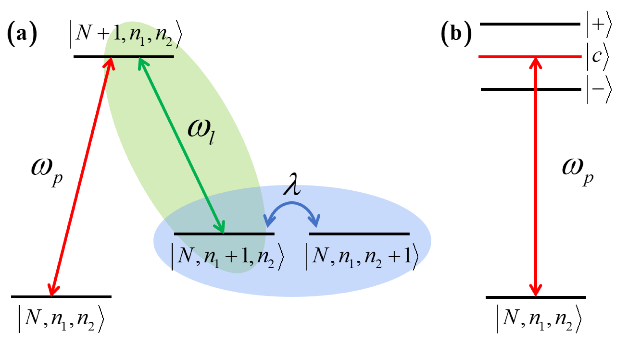 Photonics 11 00289 g003