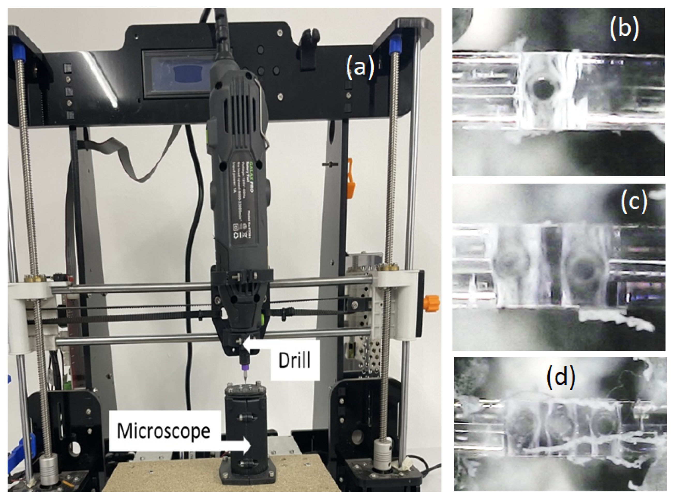 Photonics 11 00306 g002