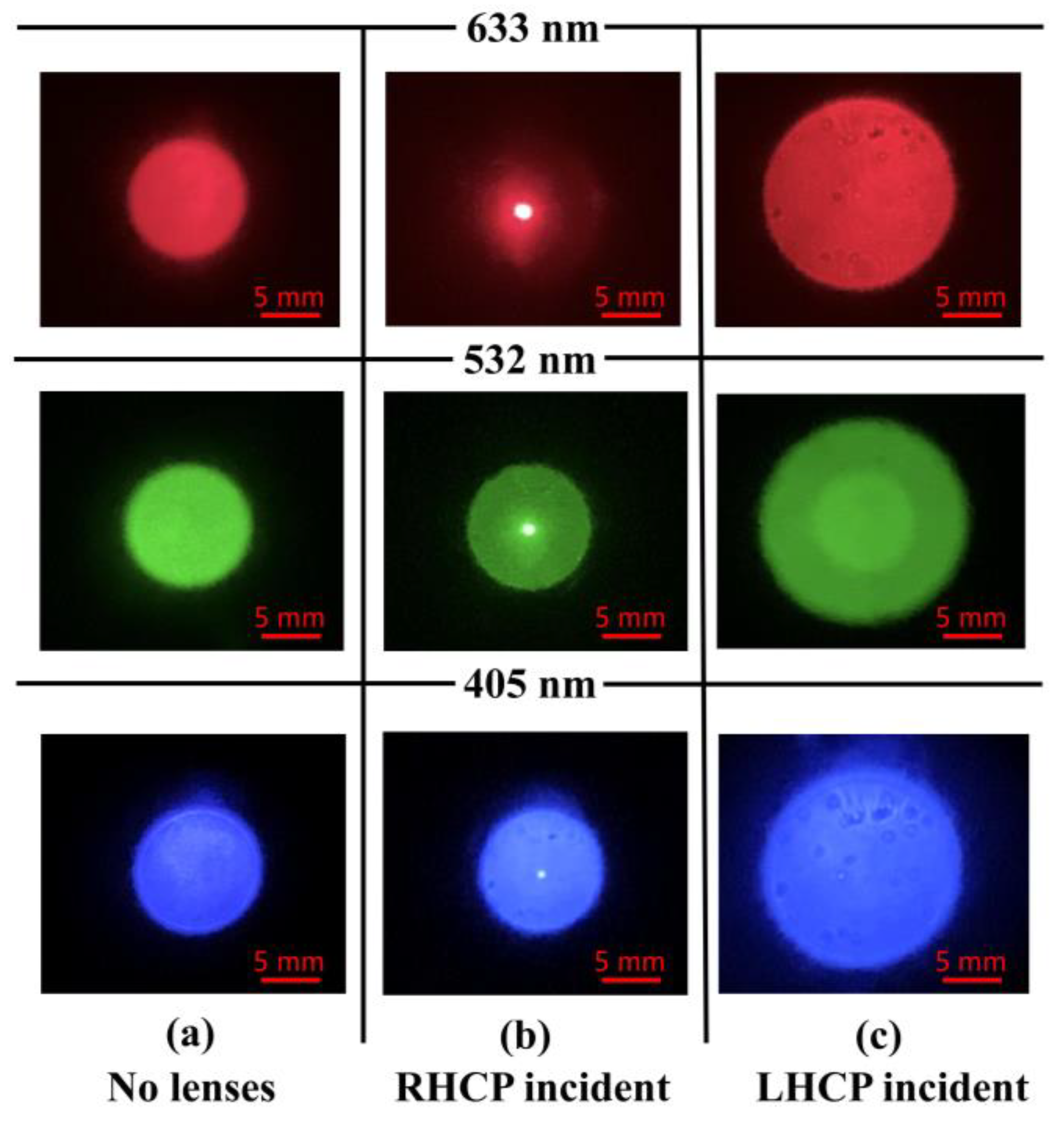Photonics 11 00350 g006