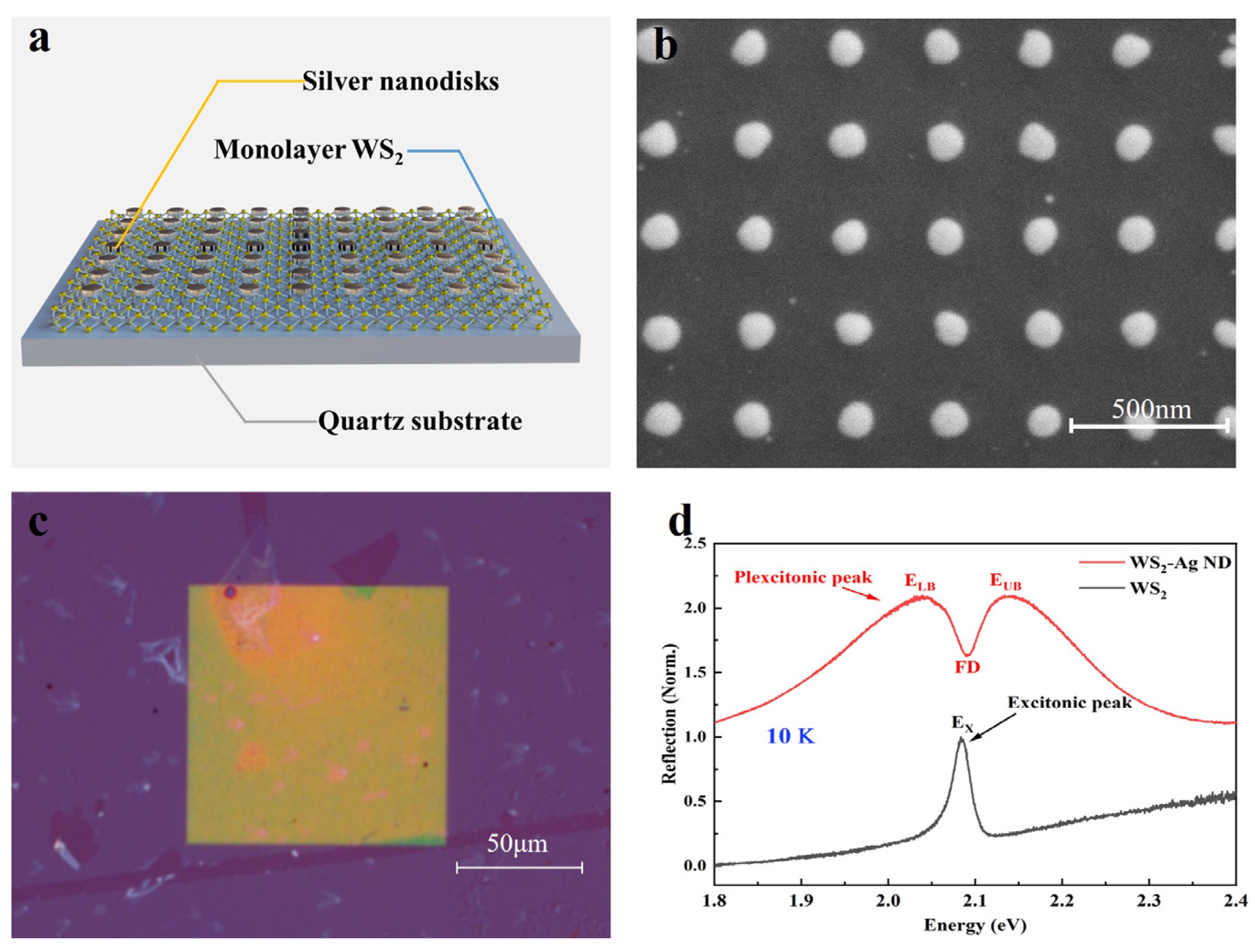 Photonics 11 00358 g001