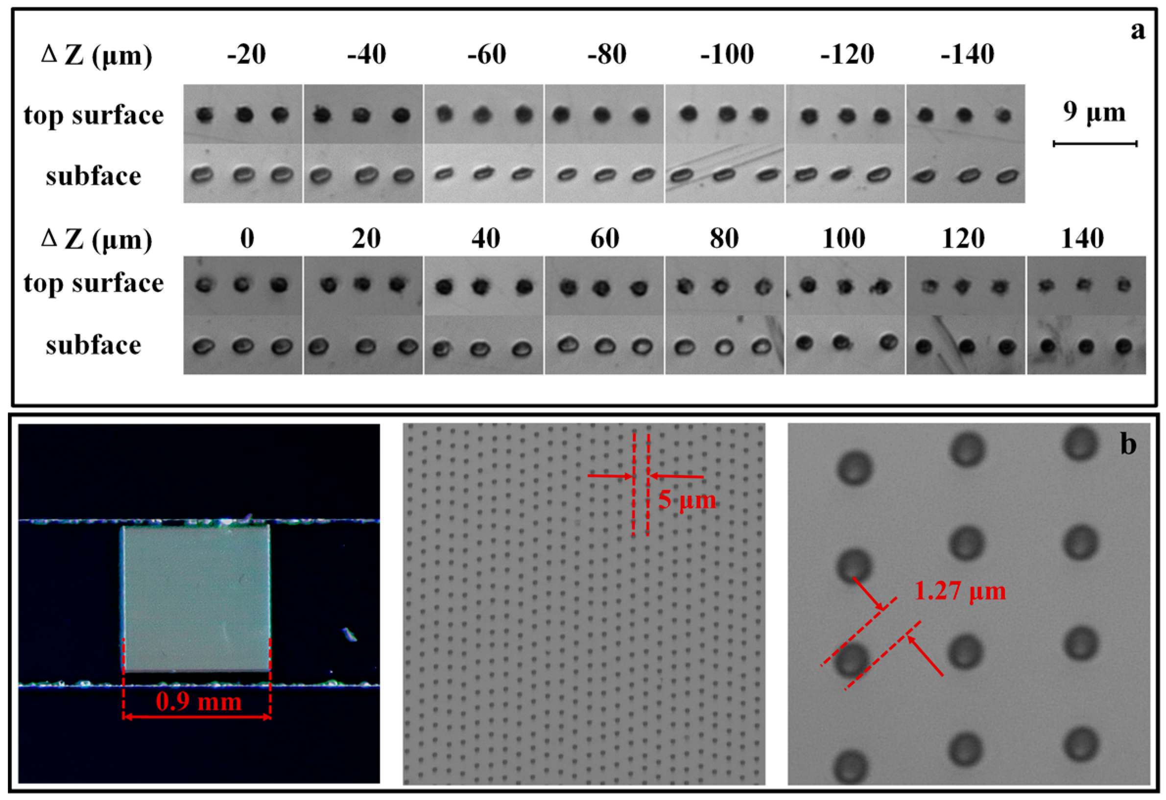 Photonics 11 00408 g009