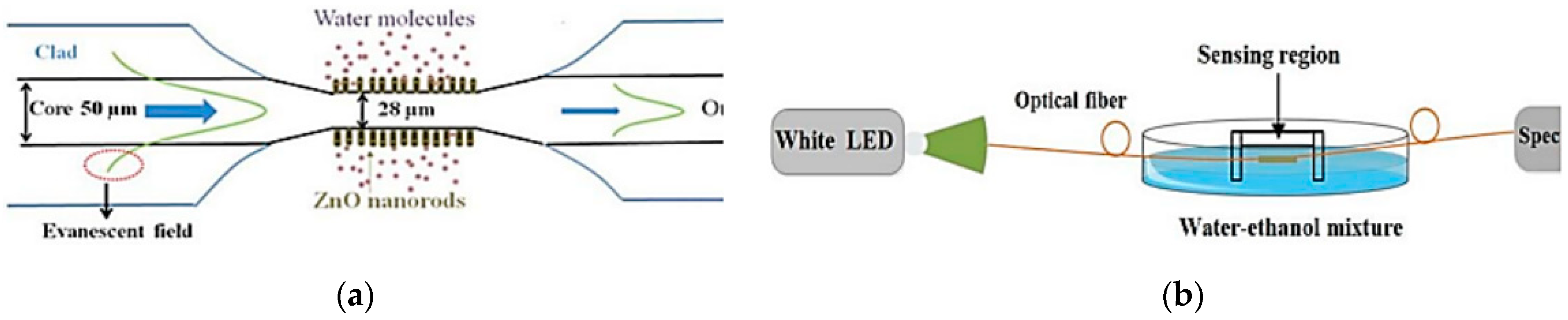 Photonics 11 00414 g024