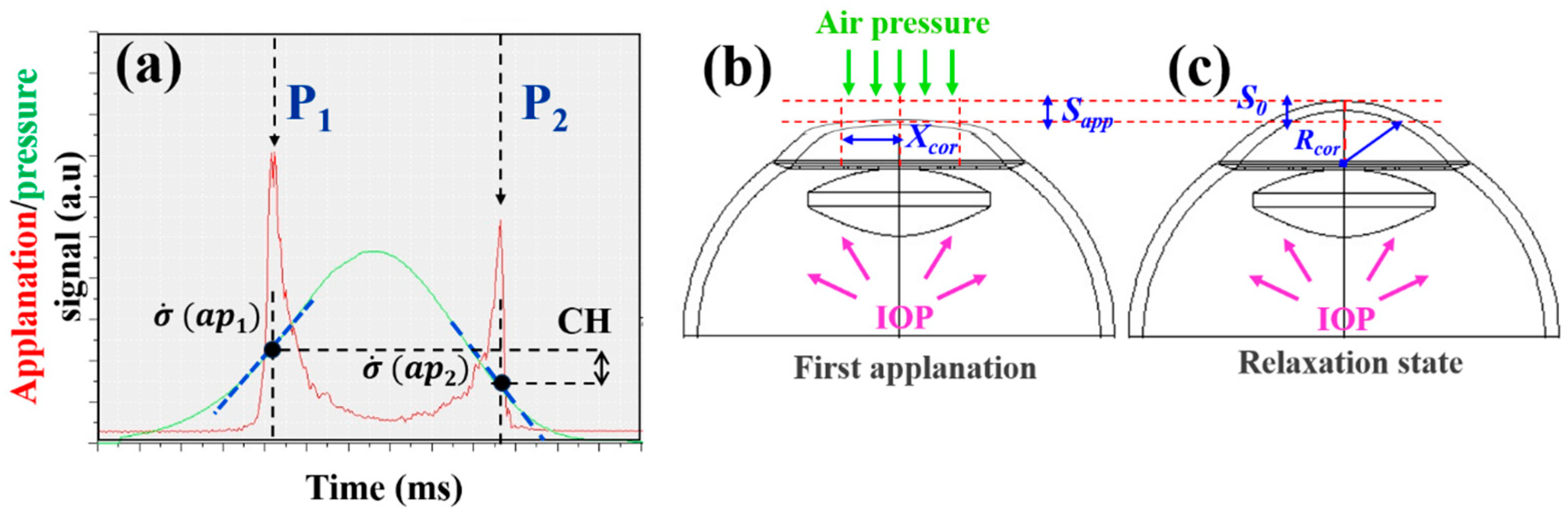Photonics 11 00524 g002