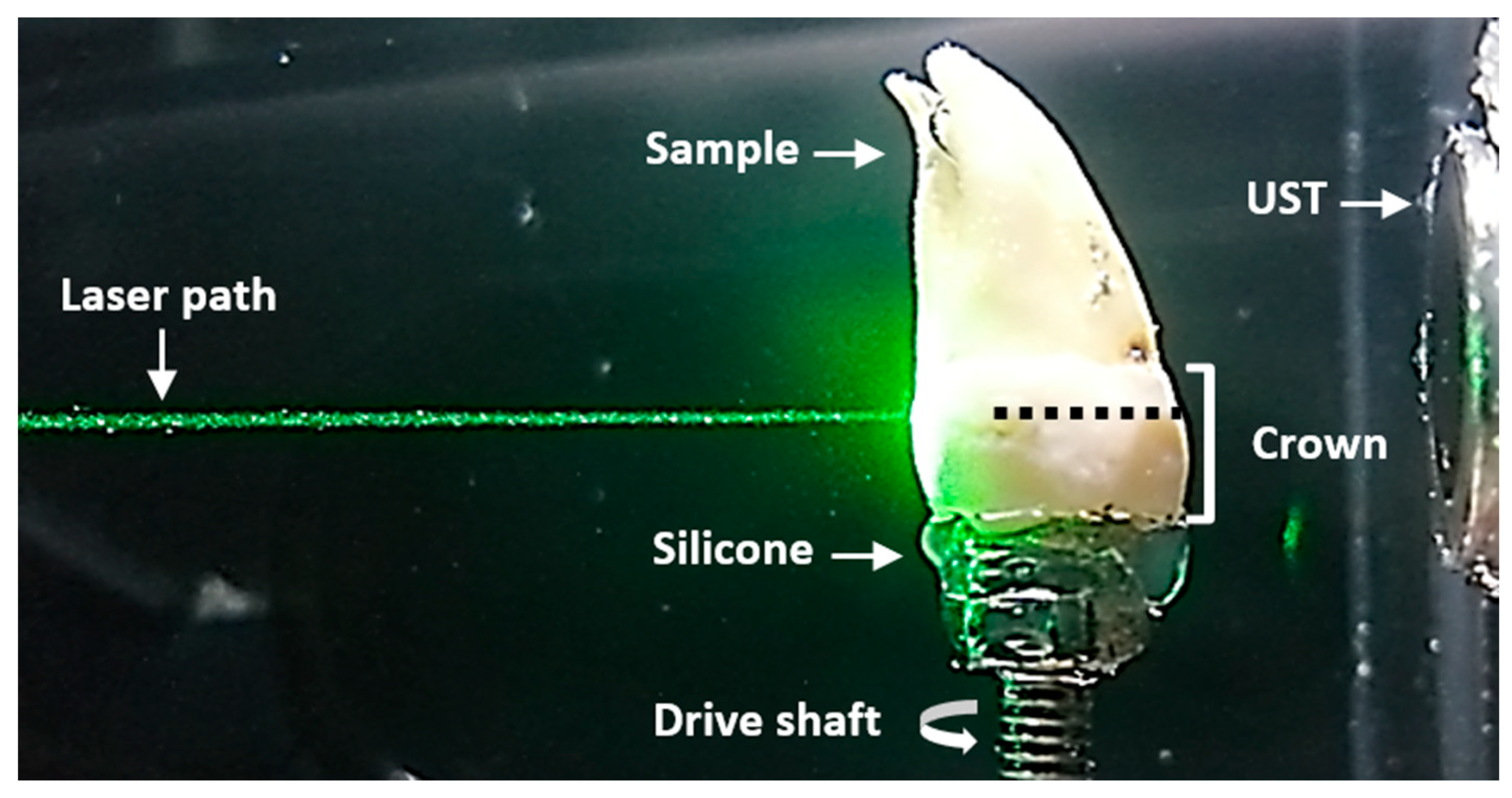 Photonics 11 00678 g002