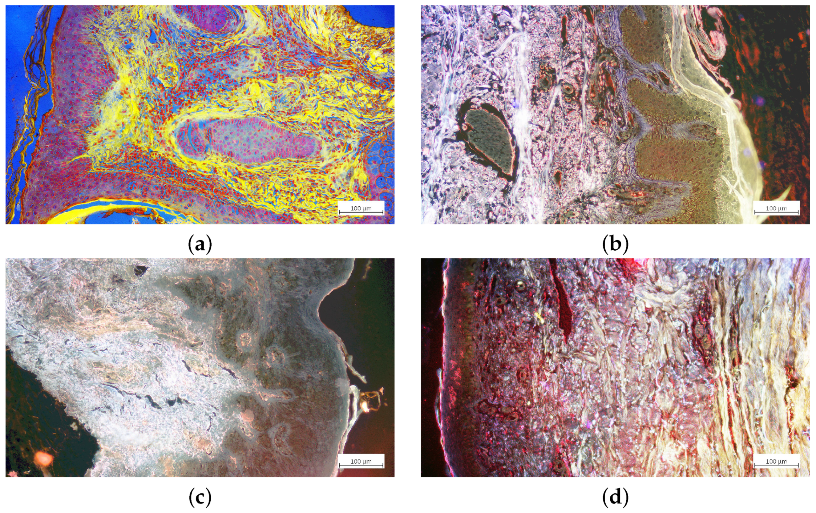Photonics 11 00687 g002