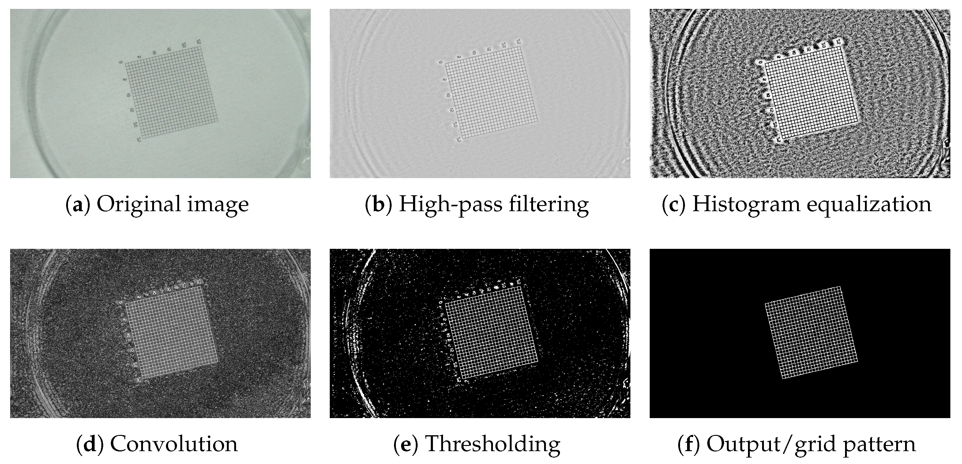 Photonics 11 00688 g002