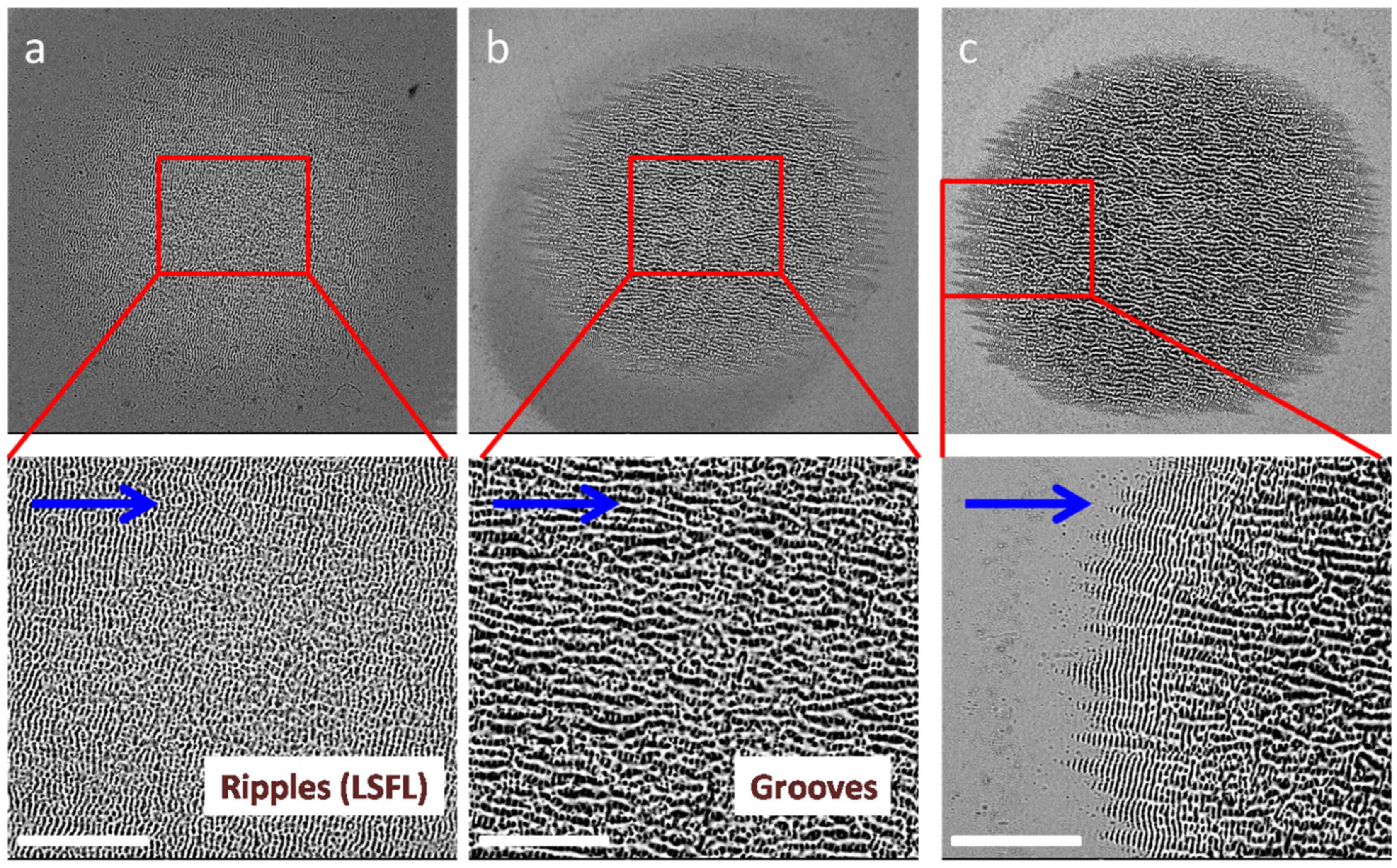Photonics 11 00710 g002 Photonics 11 00710 g002