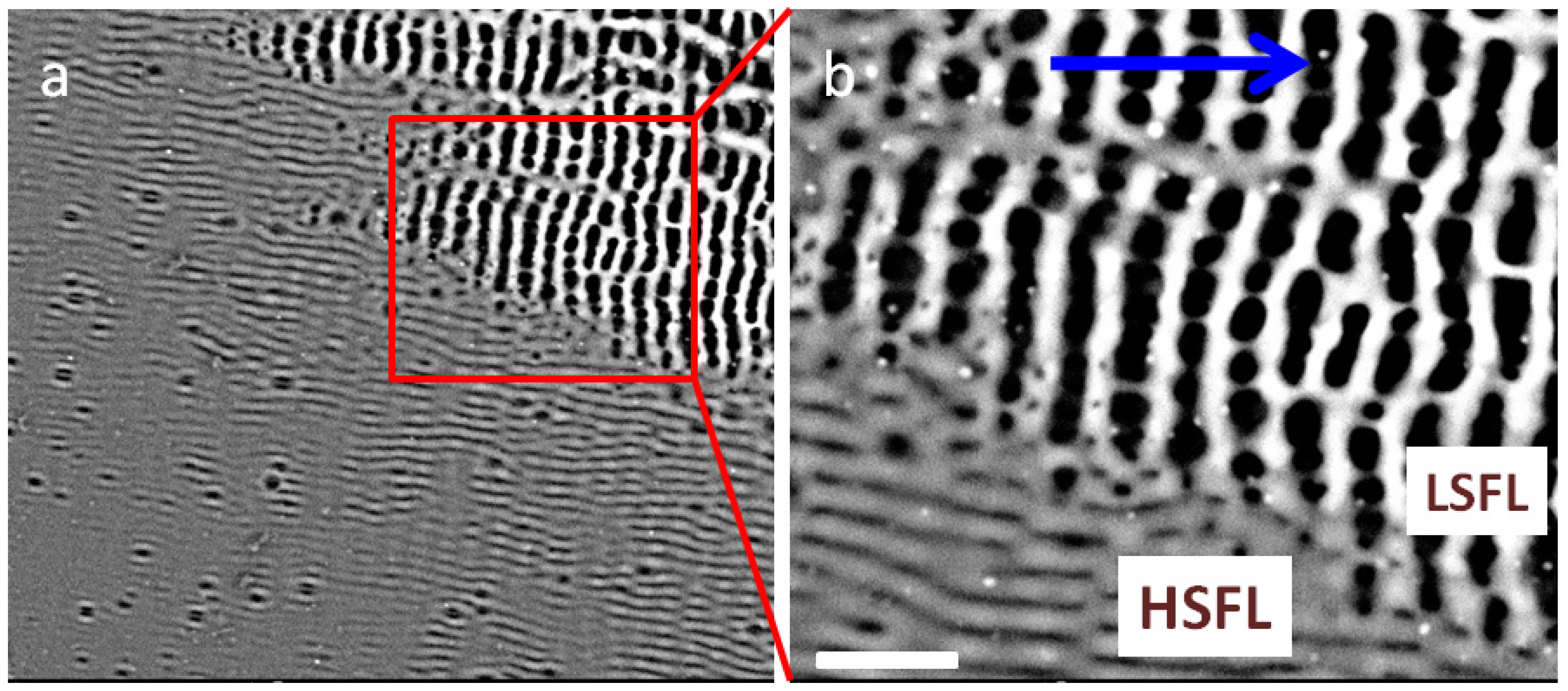 Photonics 11 00710 g003 Photonics 11 00710 g003