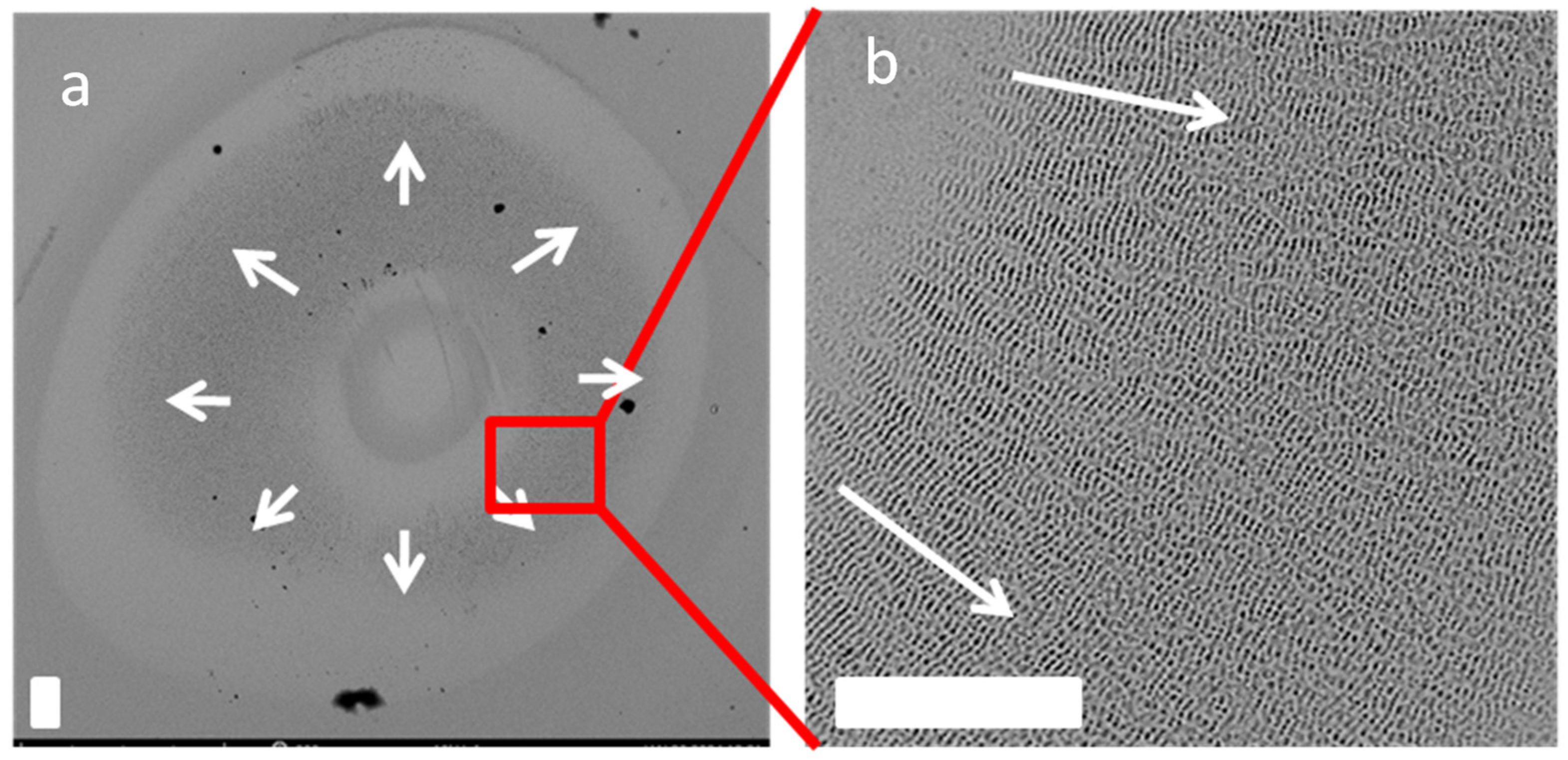 Photonics 11 00710 g005 Photonics 11 00710 g005