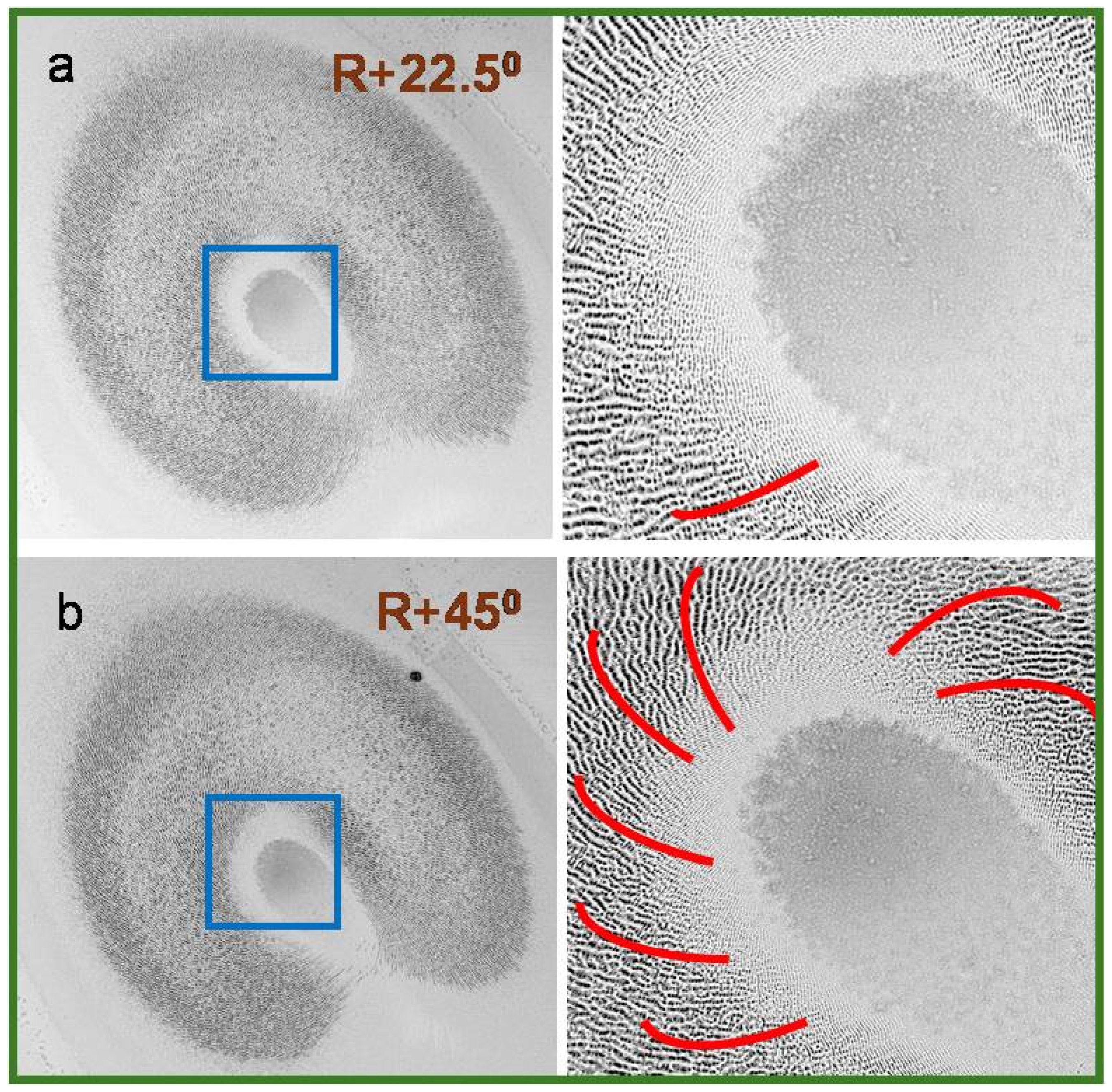 Photonics 11 00710 g008 Photonics 11 00710 g008
