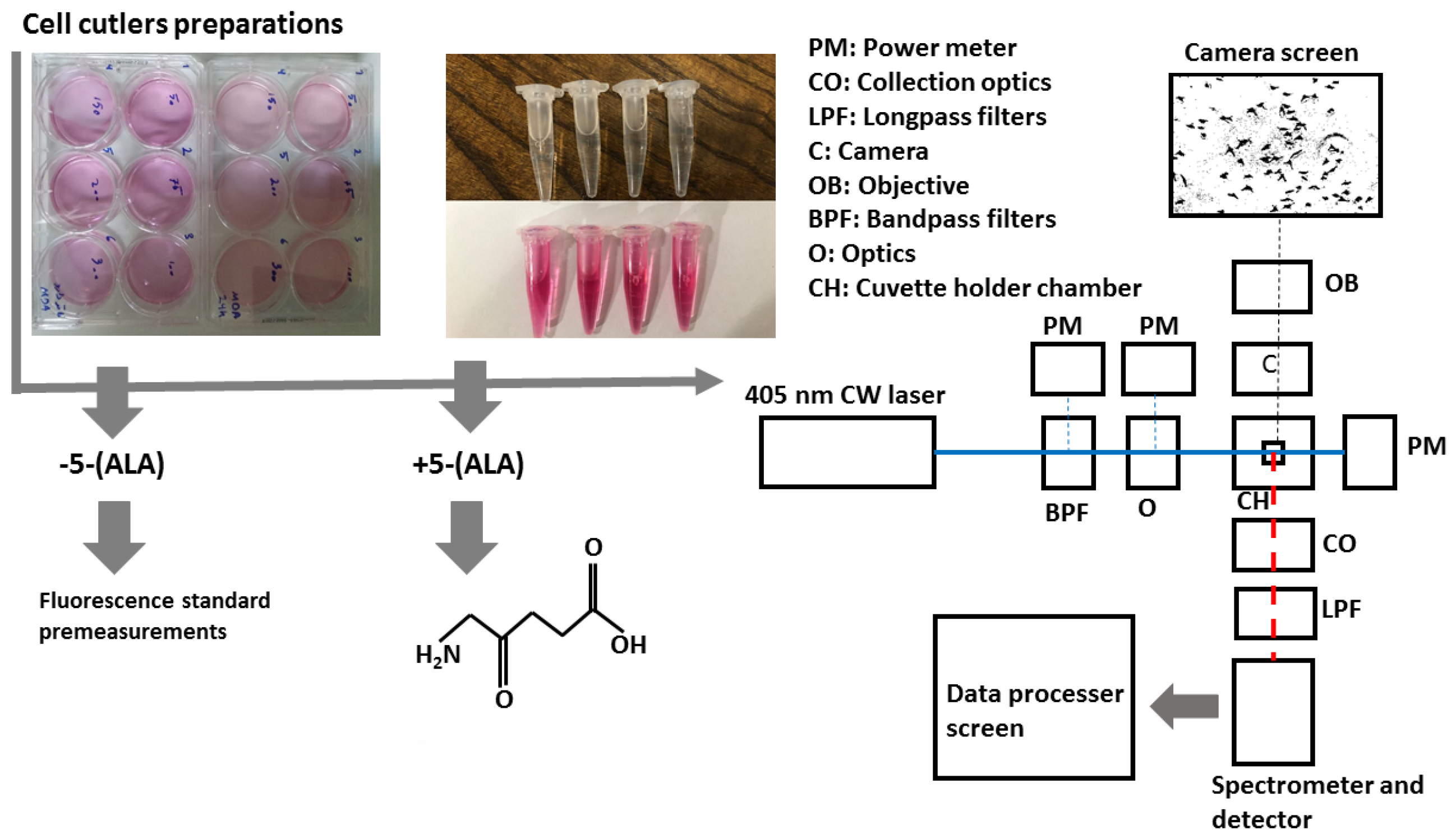 Photonics 11 00746 g001