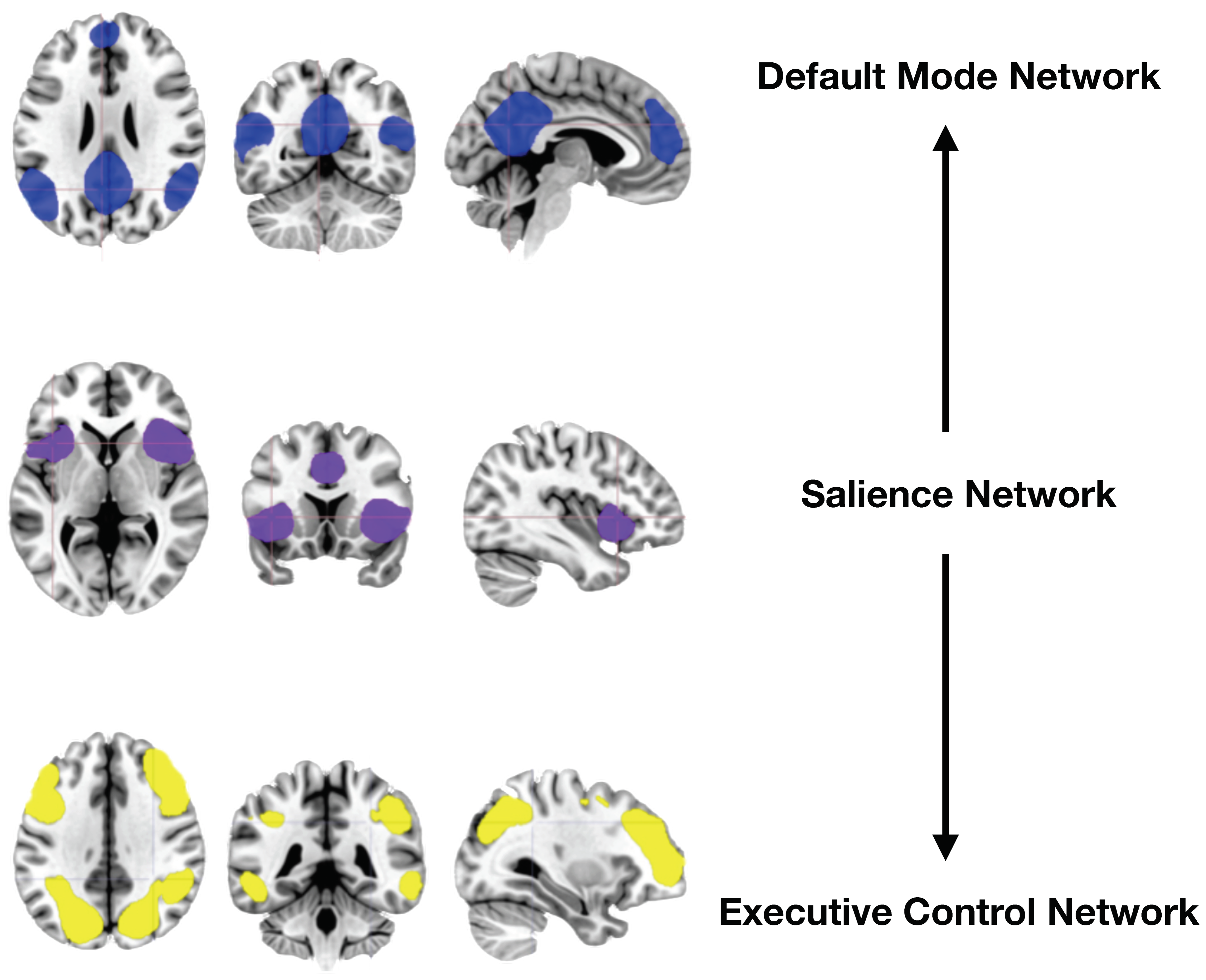 Photonics 11 00761 g001