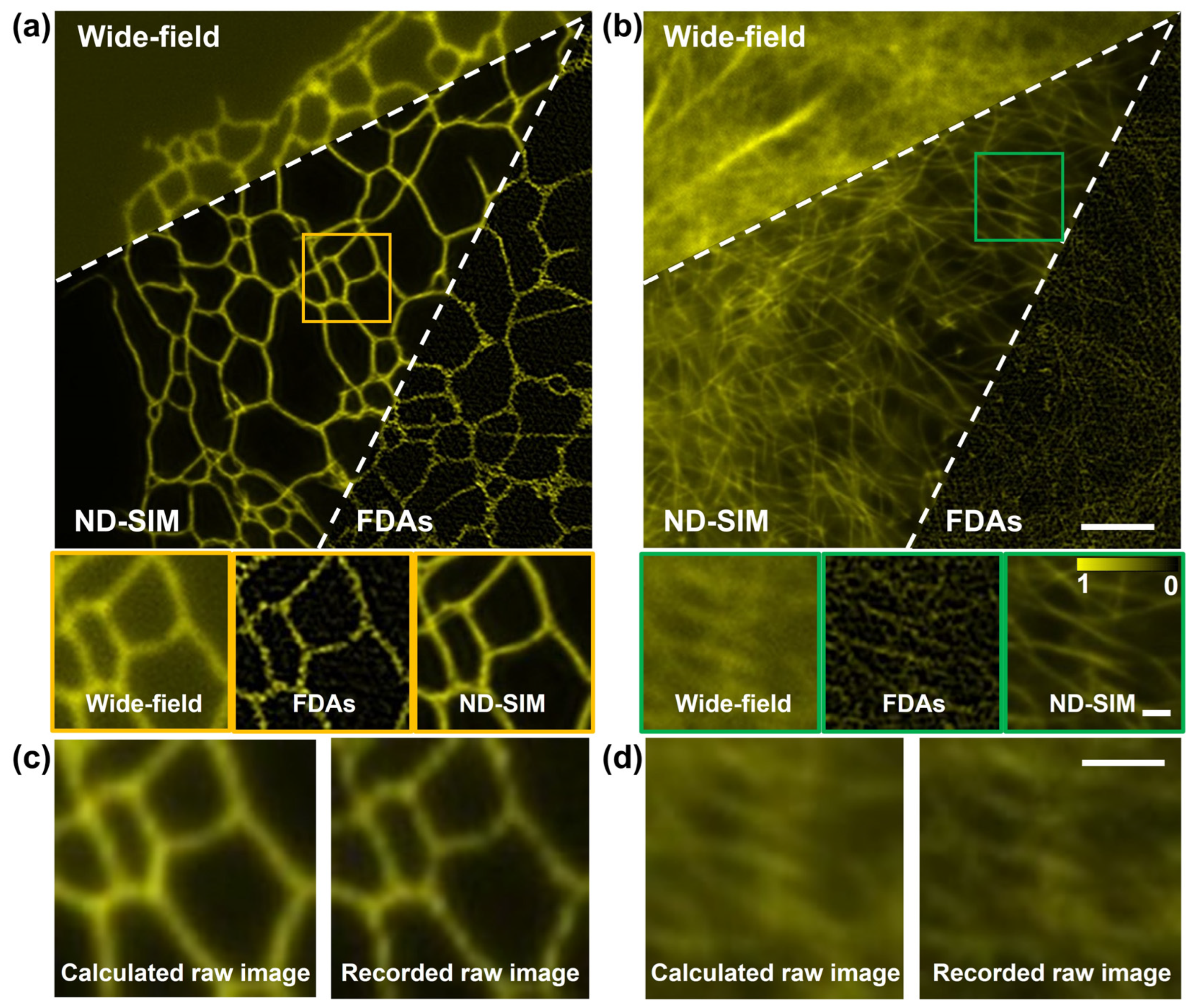 Photonics 11 00776 g006