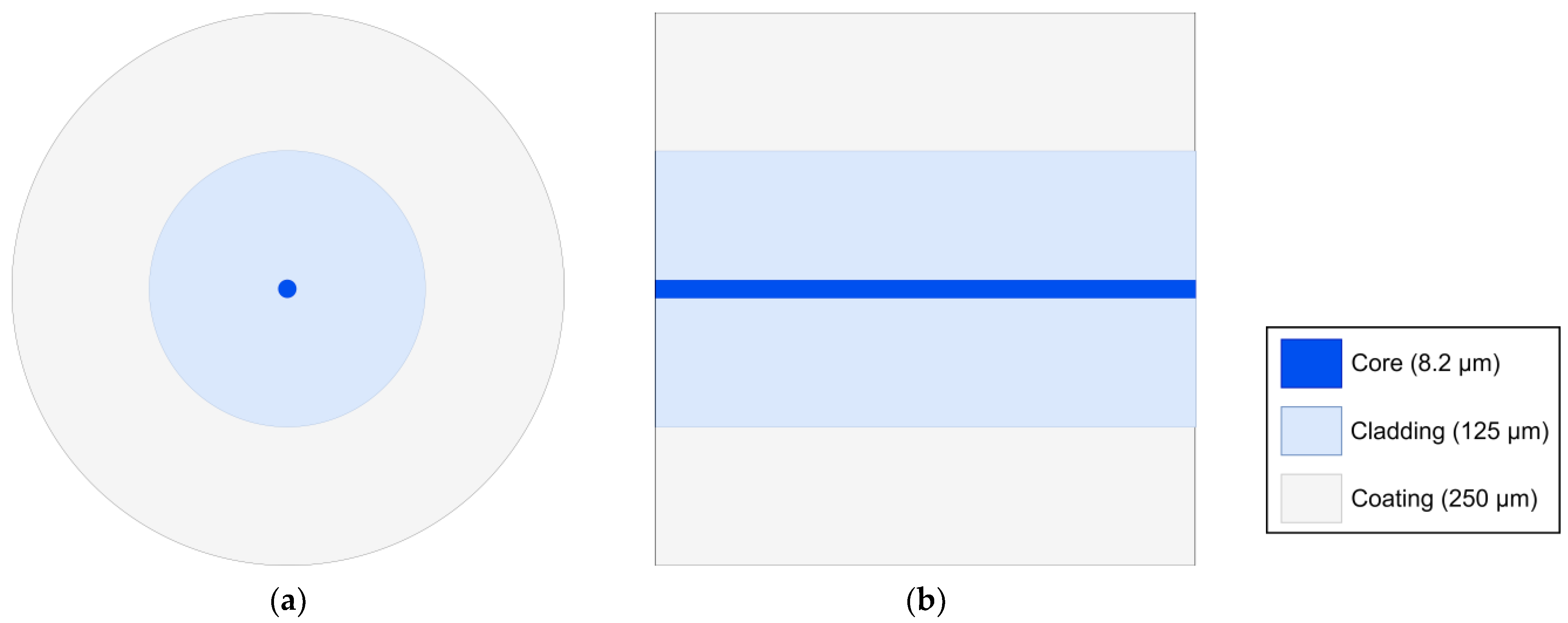 Photonics 11 00783 g004