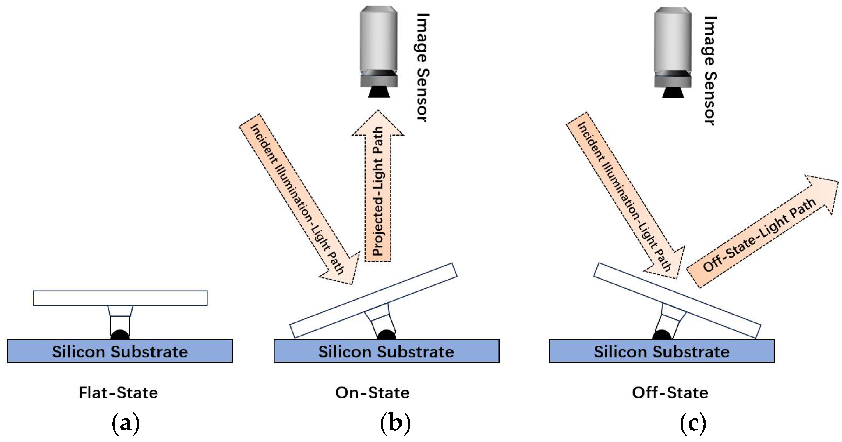 Photonics 11 00793 g002