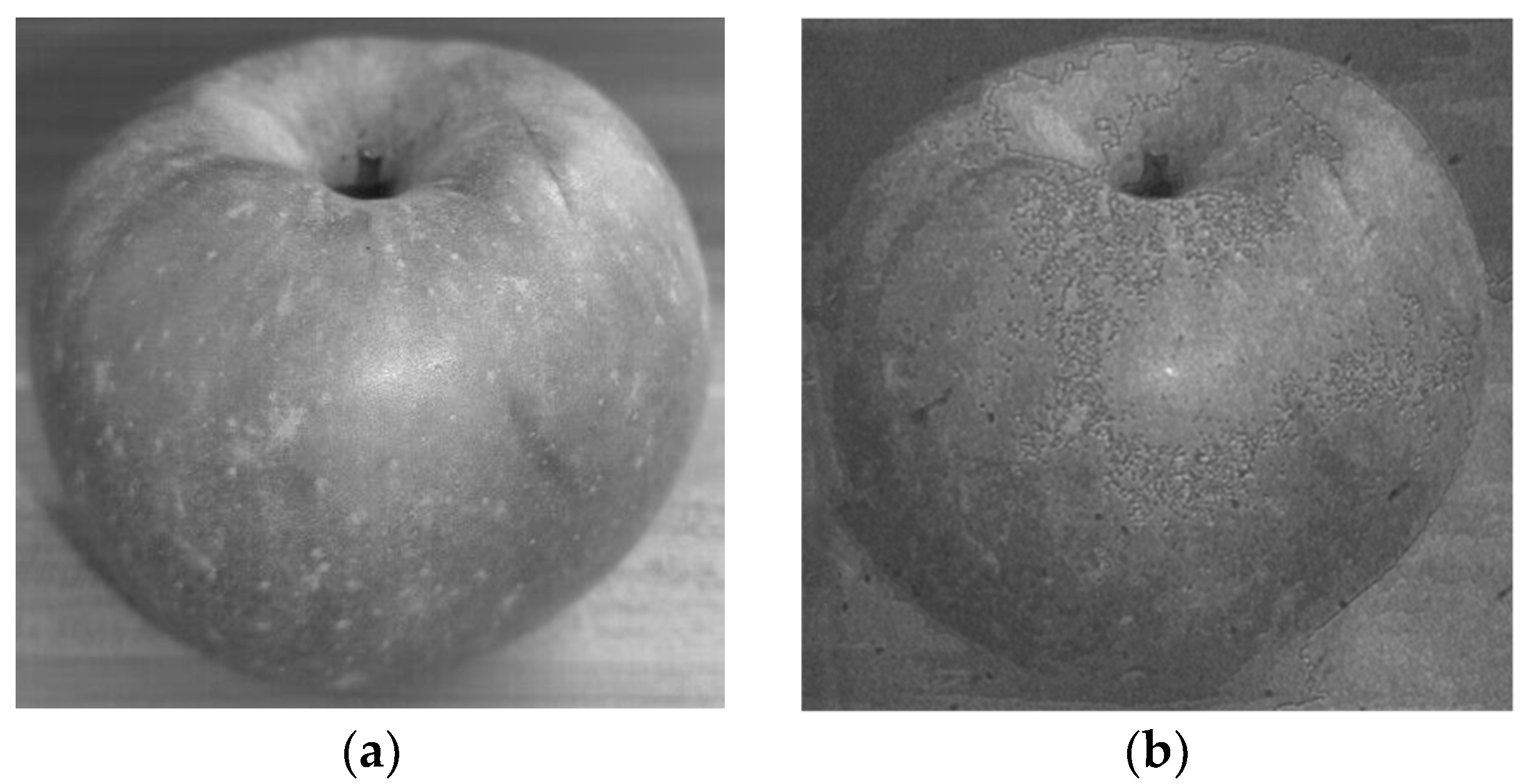 Photonics 11 00793 g010