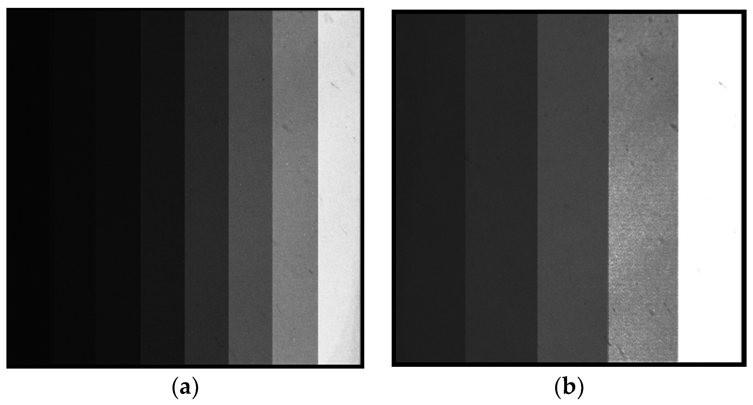 Photonics 11 00793 g011