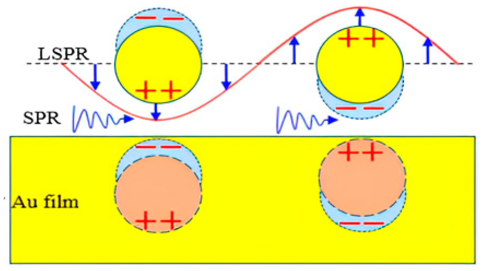 Photonics 11 00836 g006