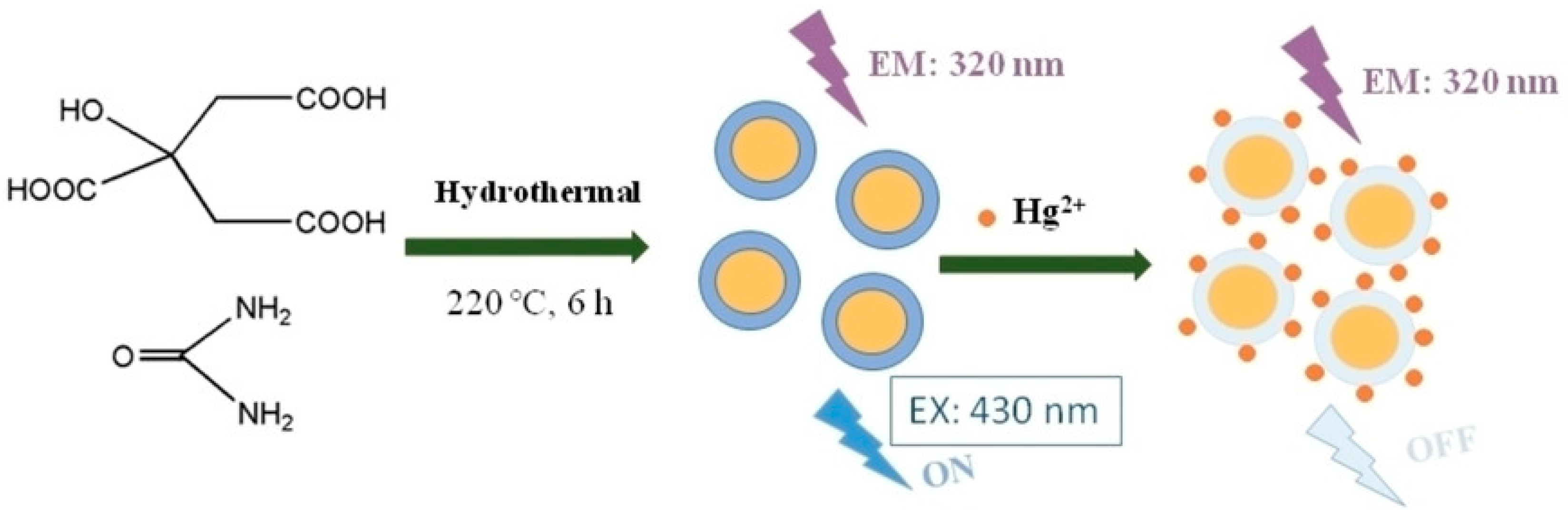 Photonics 11 00841 g004