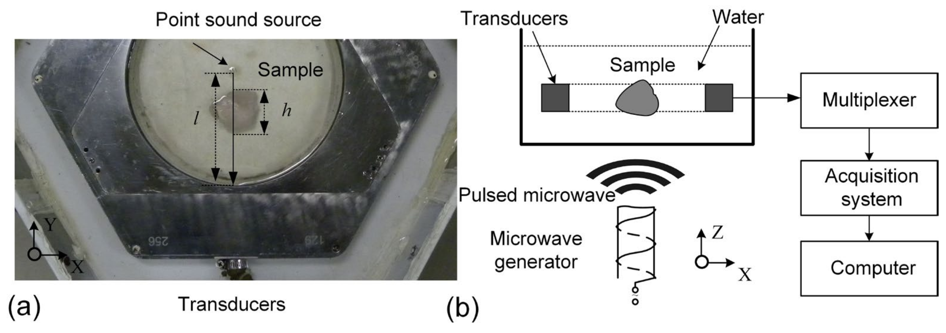 Photonics 11 00916 g002