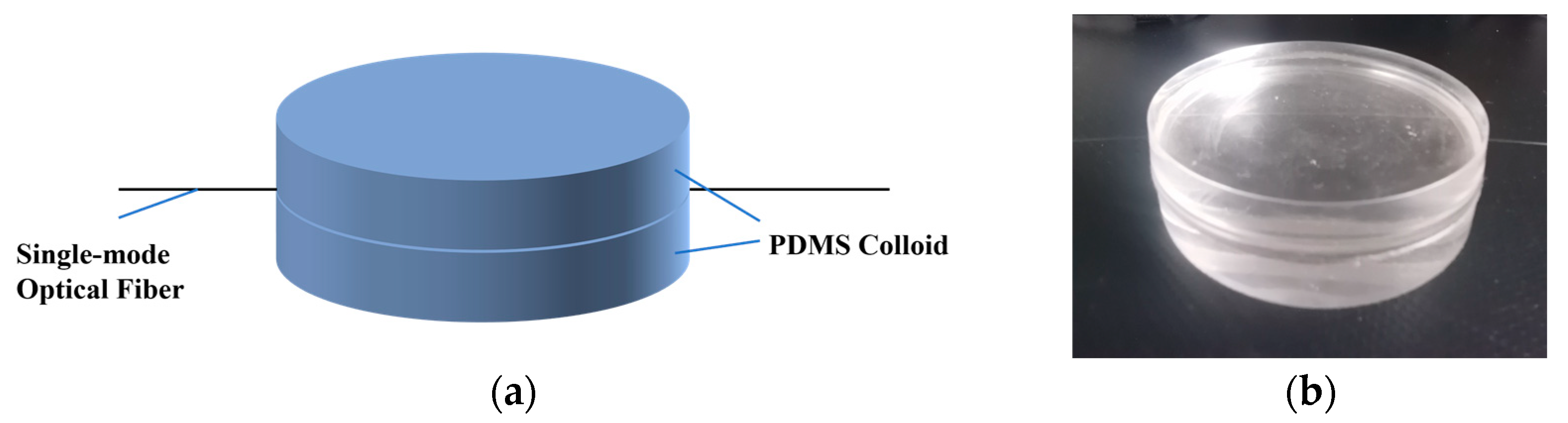 Photonics 11 00919 g001