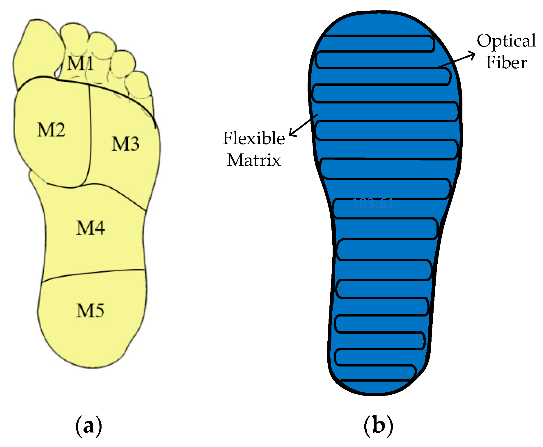 Photonics 11 00919 g011