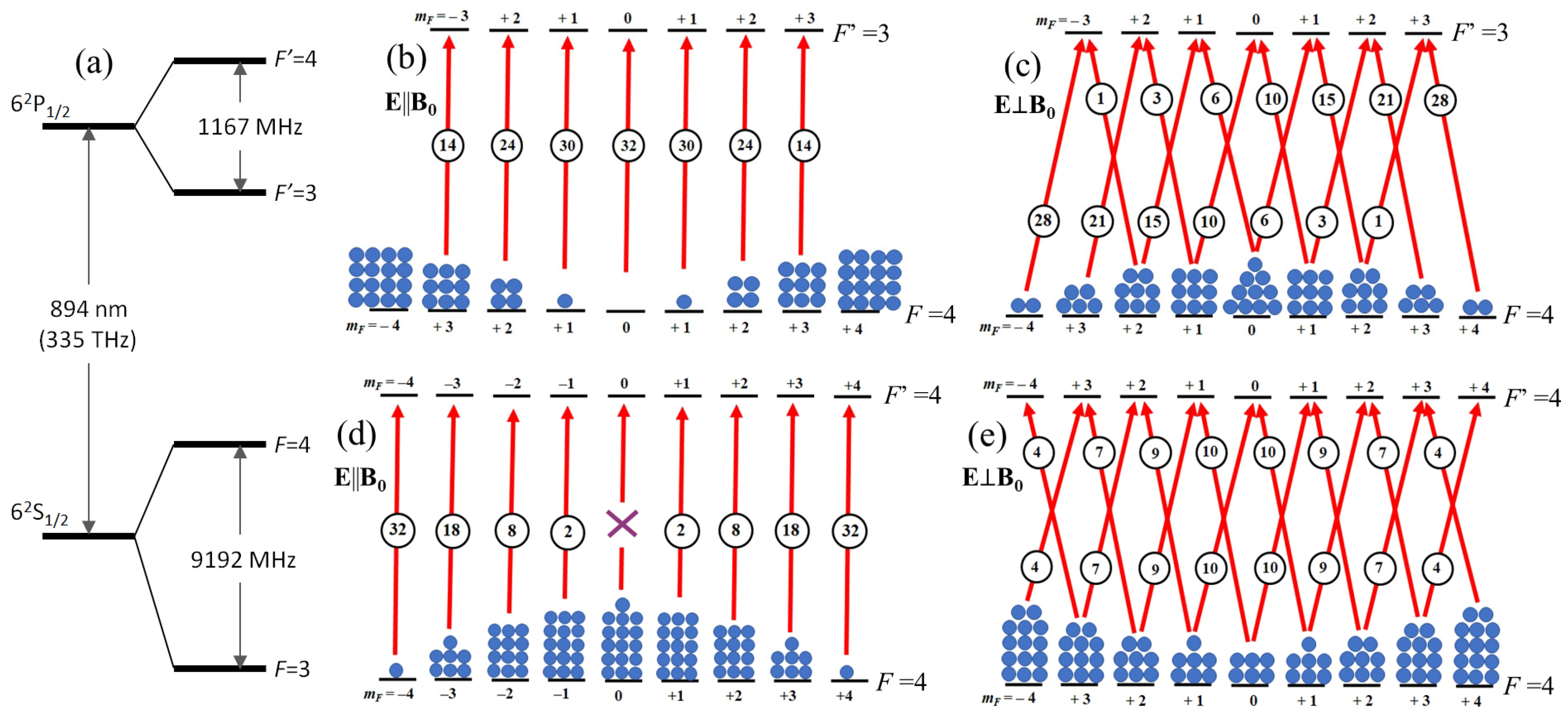 Photonics 11 00926 g001
