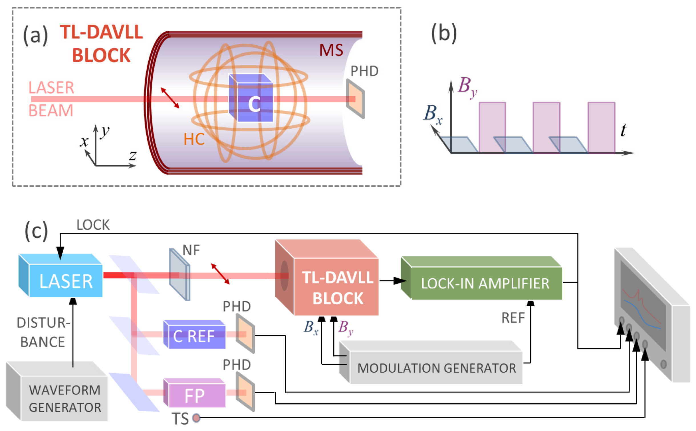 Photonics 11 00926 g002