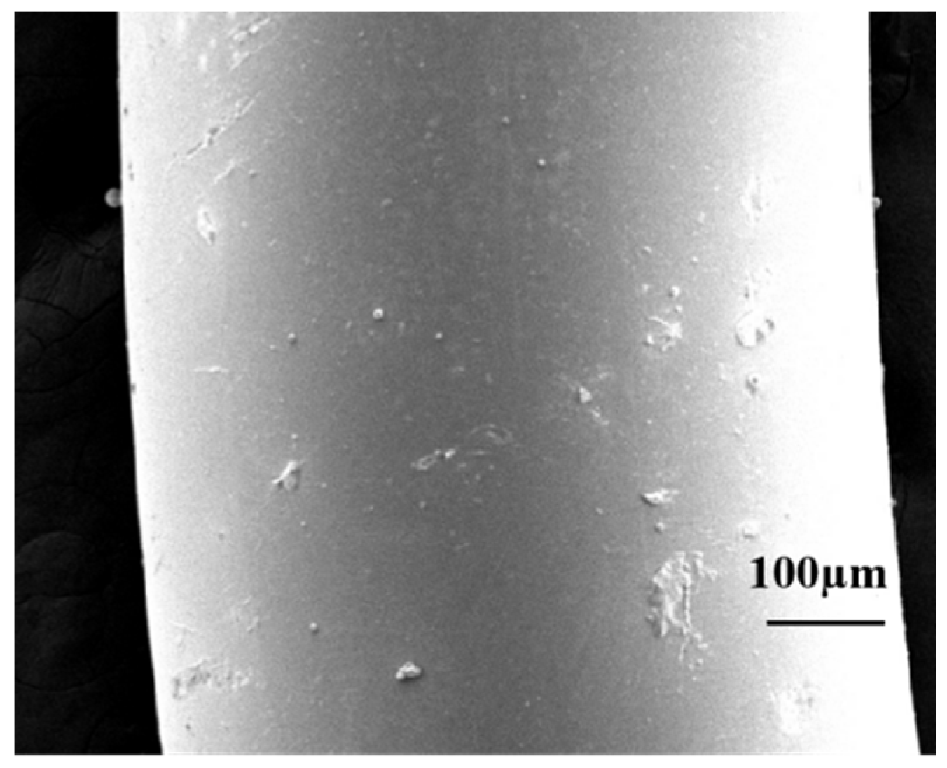 Photonics 11 00966 g004