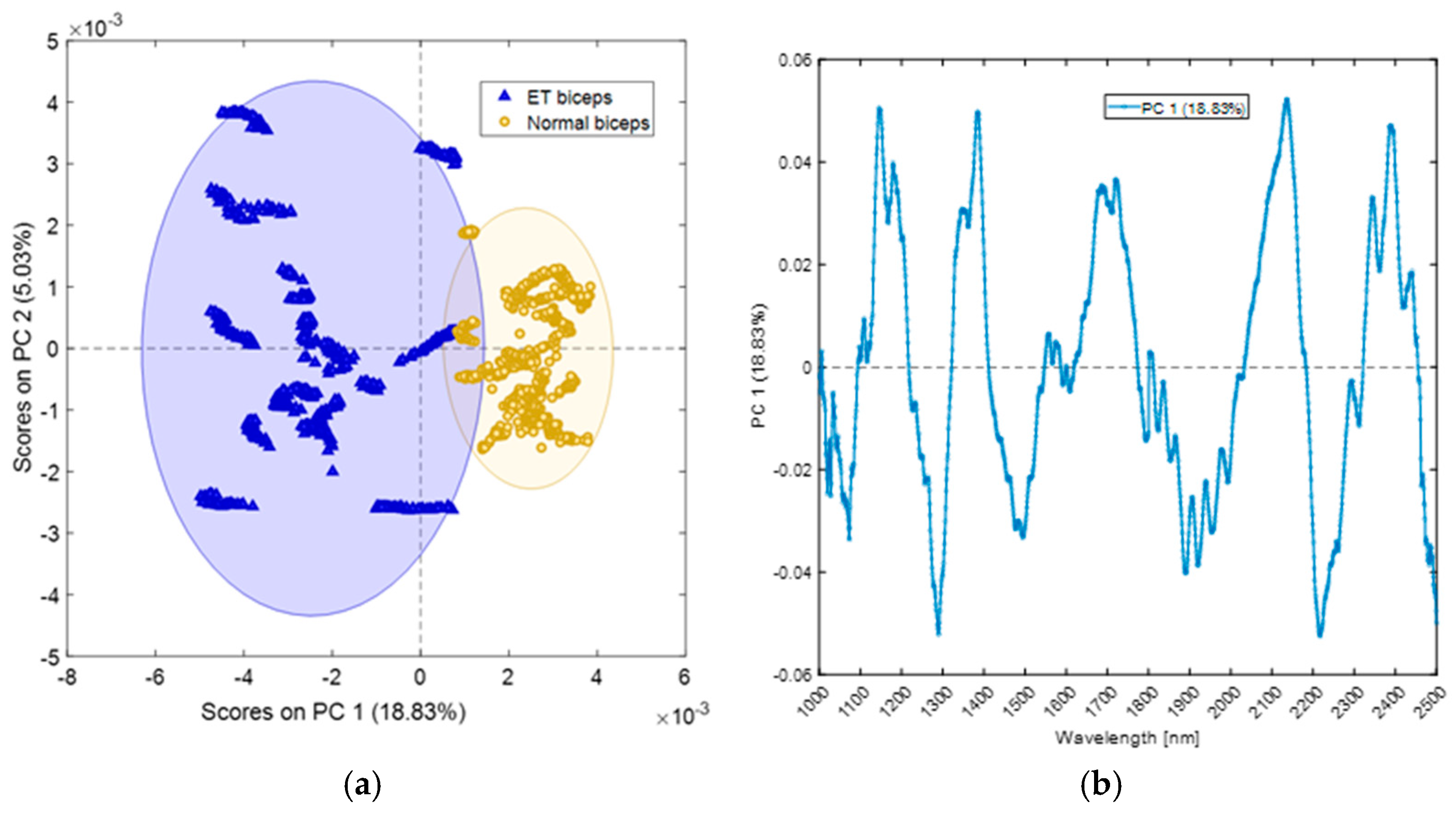 Photonics 11 01025 g002