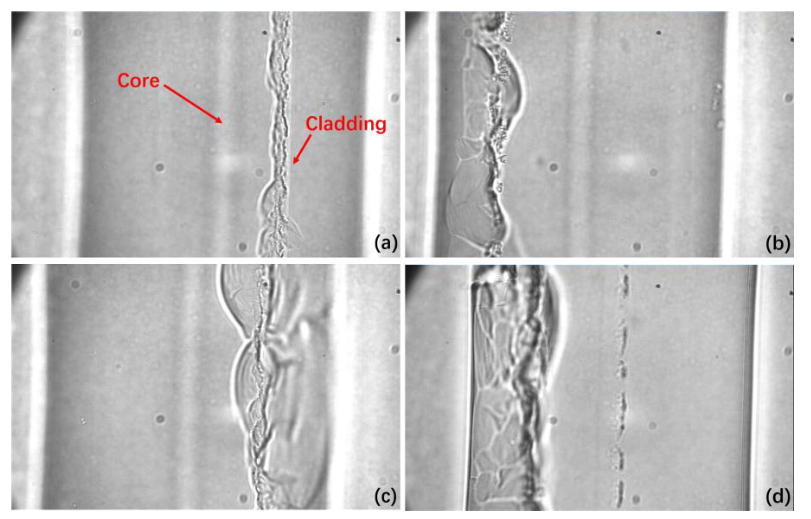 Photonics 11 01092 g005