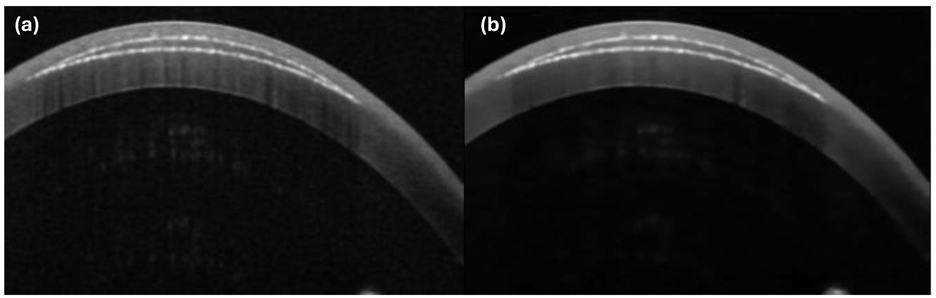 Photonics 11 01123 g003 Photonics 11 01123 g003