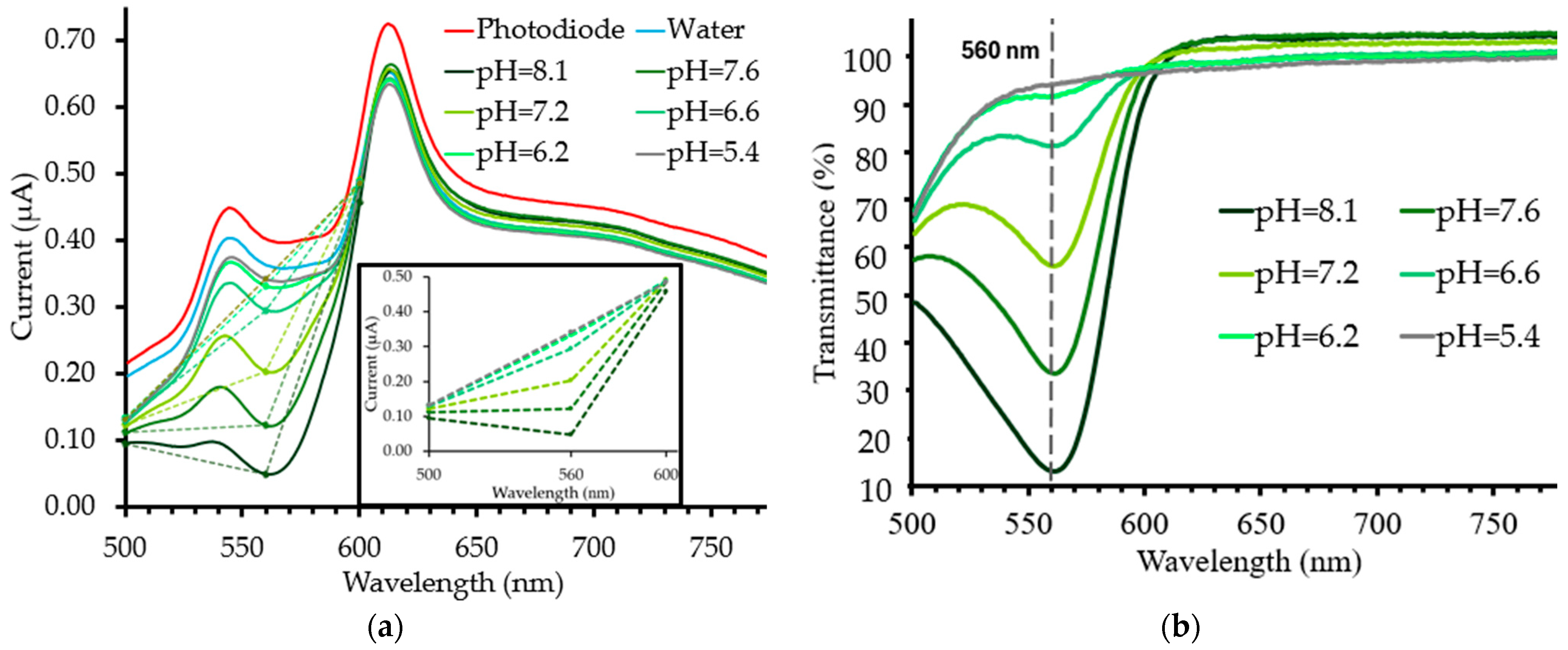 Photonics 11 01130 g002