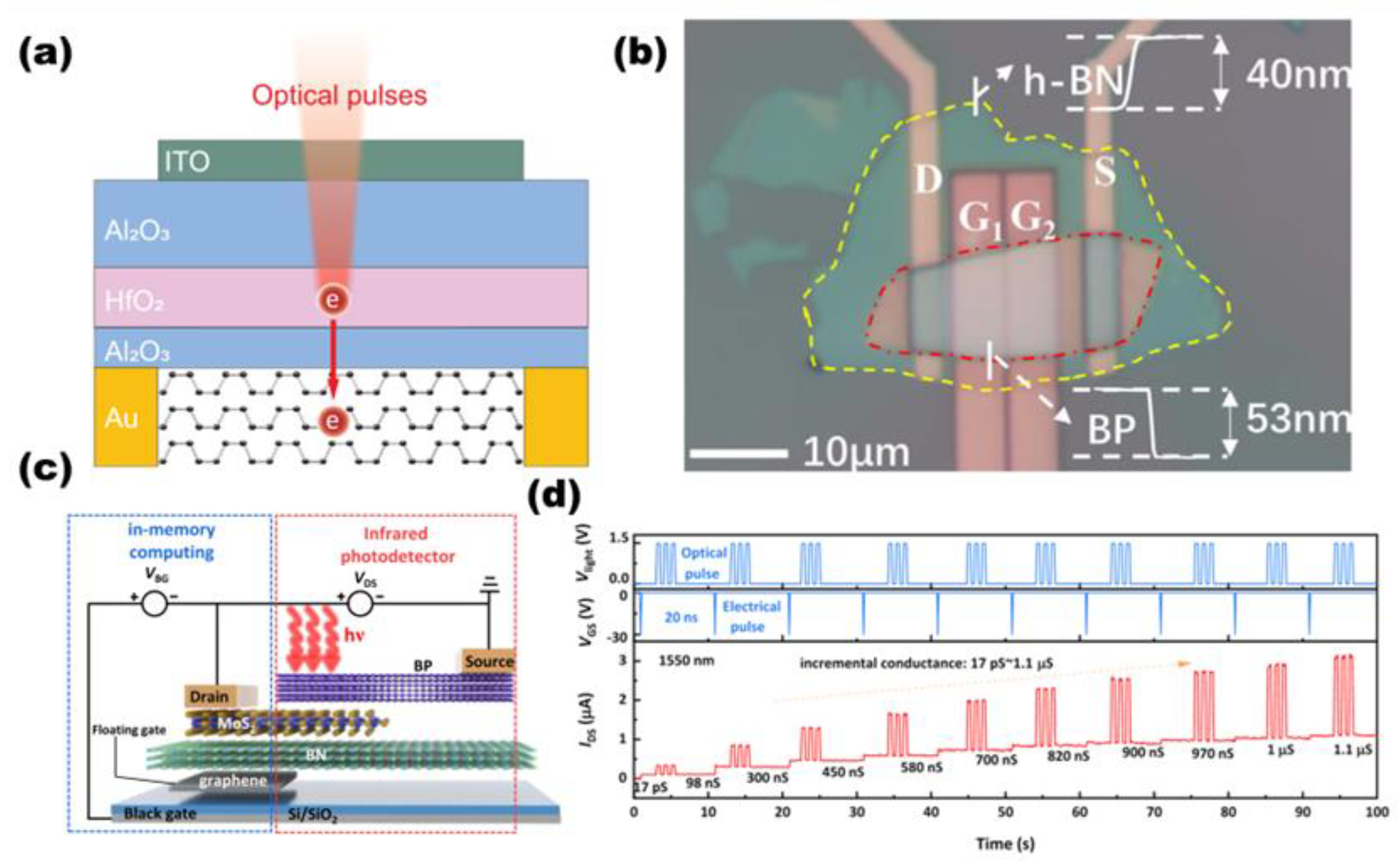 Photonics 11 01138 g010