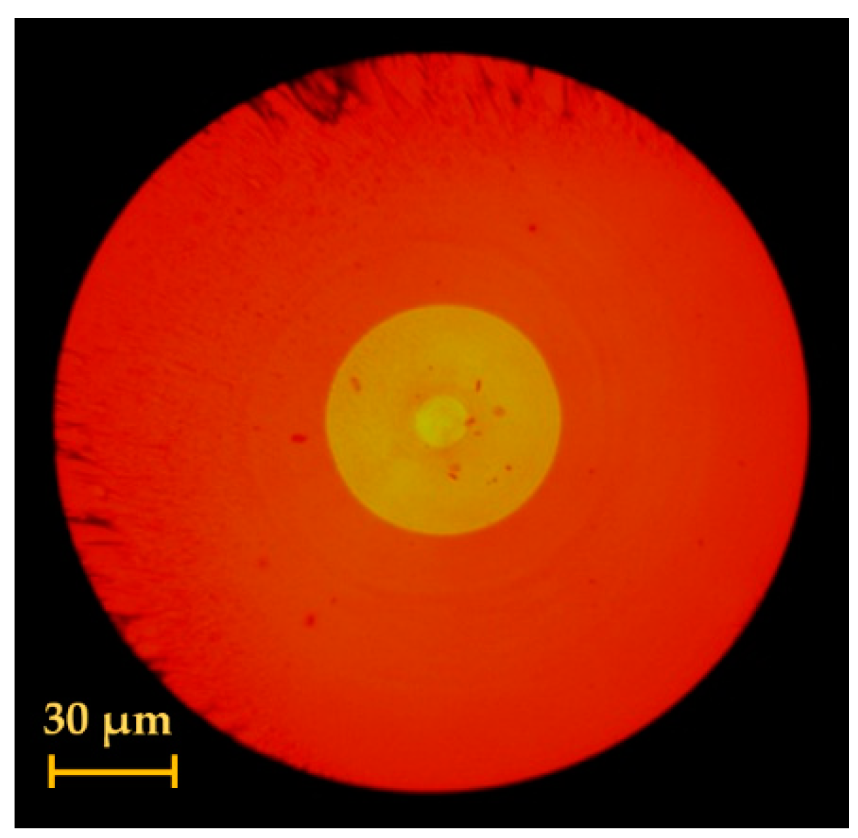 Photonics 11 01159 g002