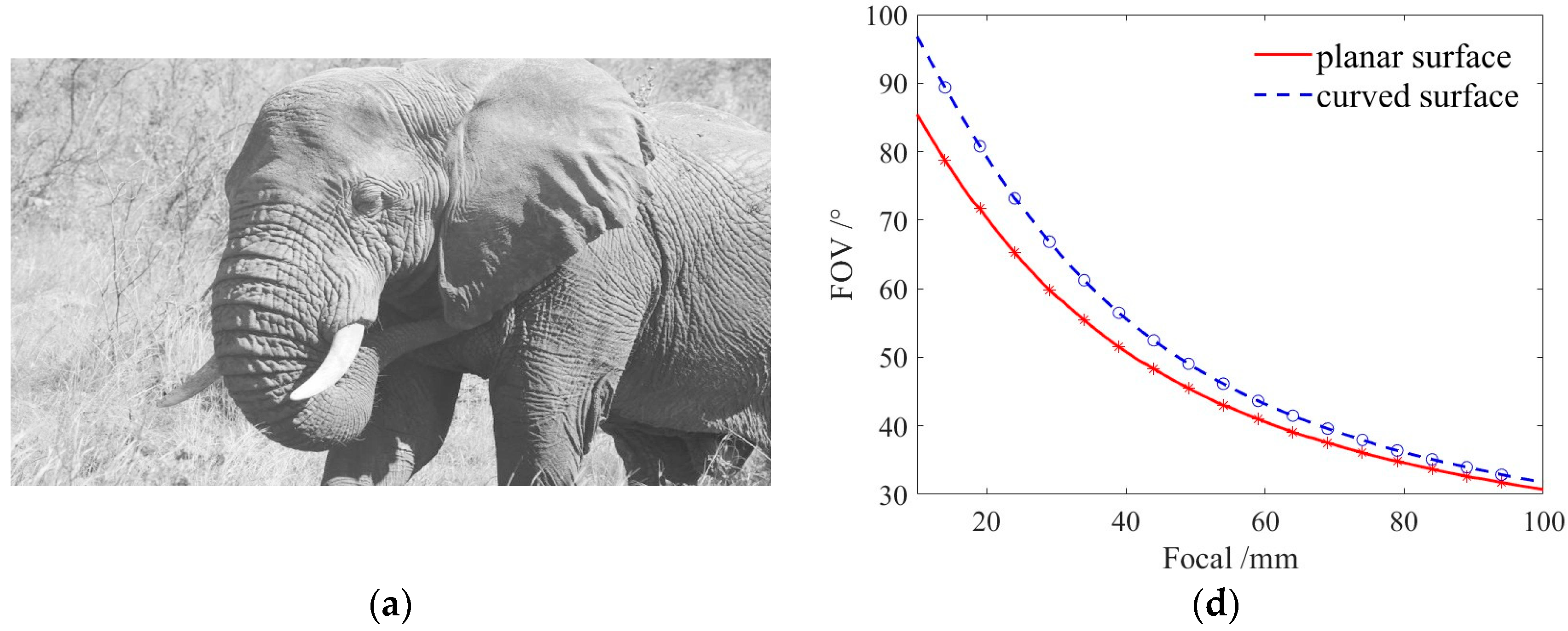 Photonics 11 01194 g004a