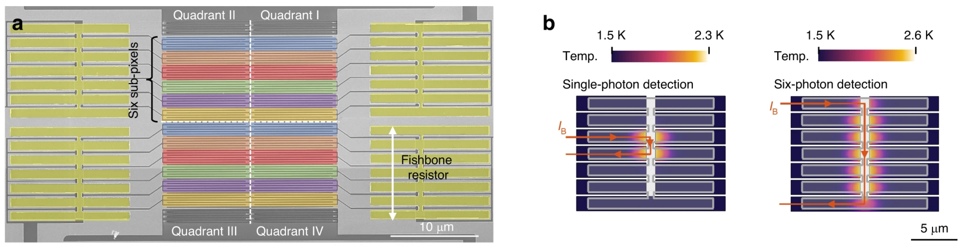 Photonics 12 00008 g007 Photonics 12 00008 g007