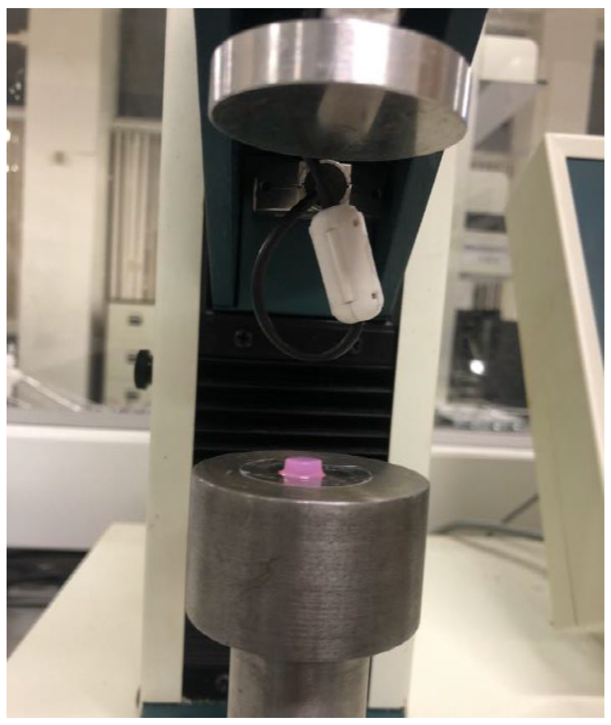 Photonics 12 00024 g004