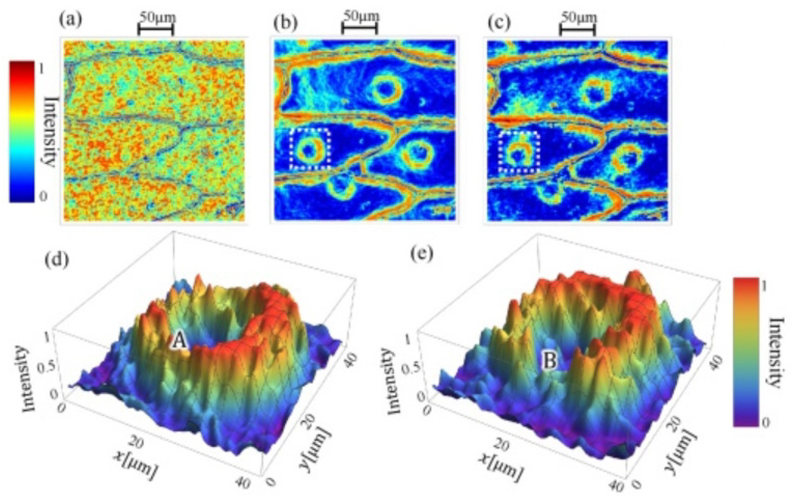 Photonics 12 00096 g010