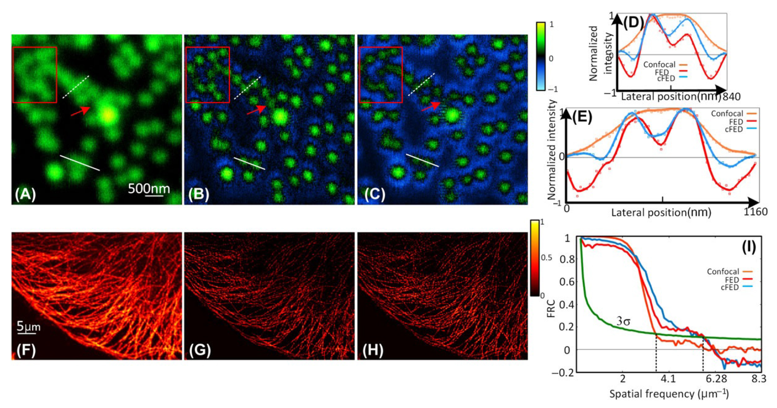 Photonics 12 00096 g011