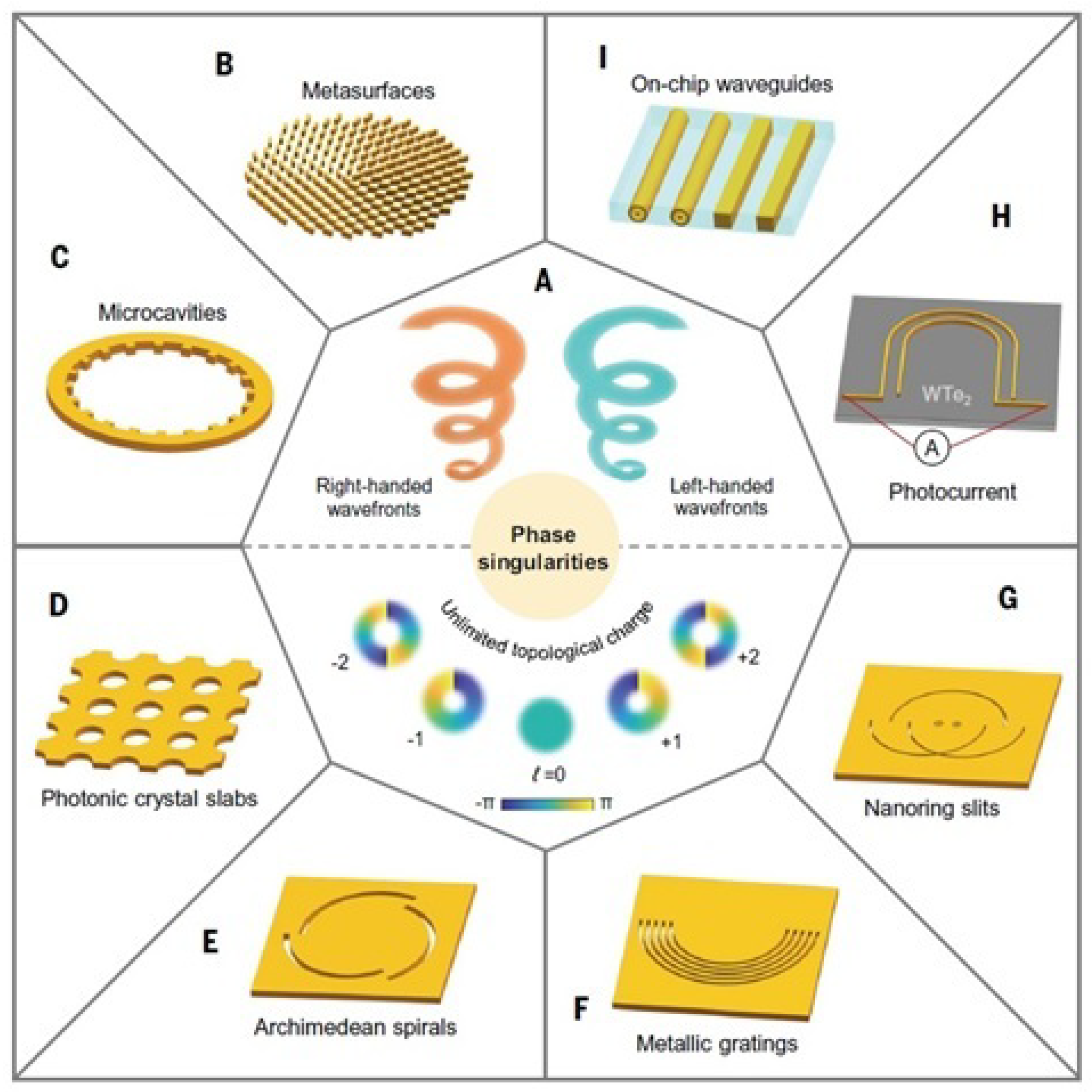 Photonics 12 00096 g012